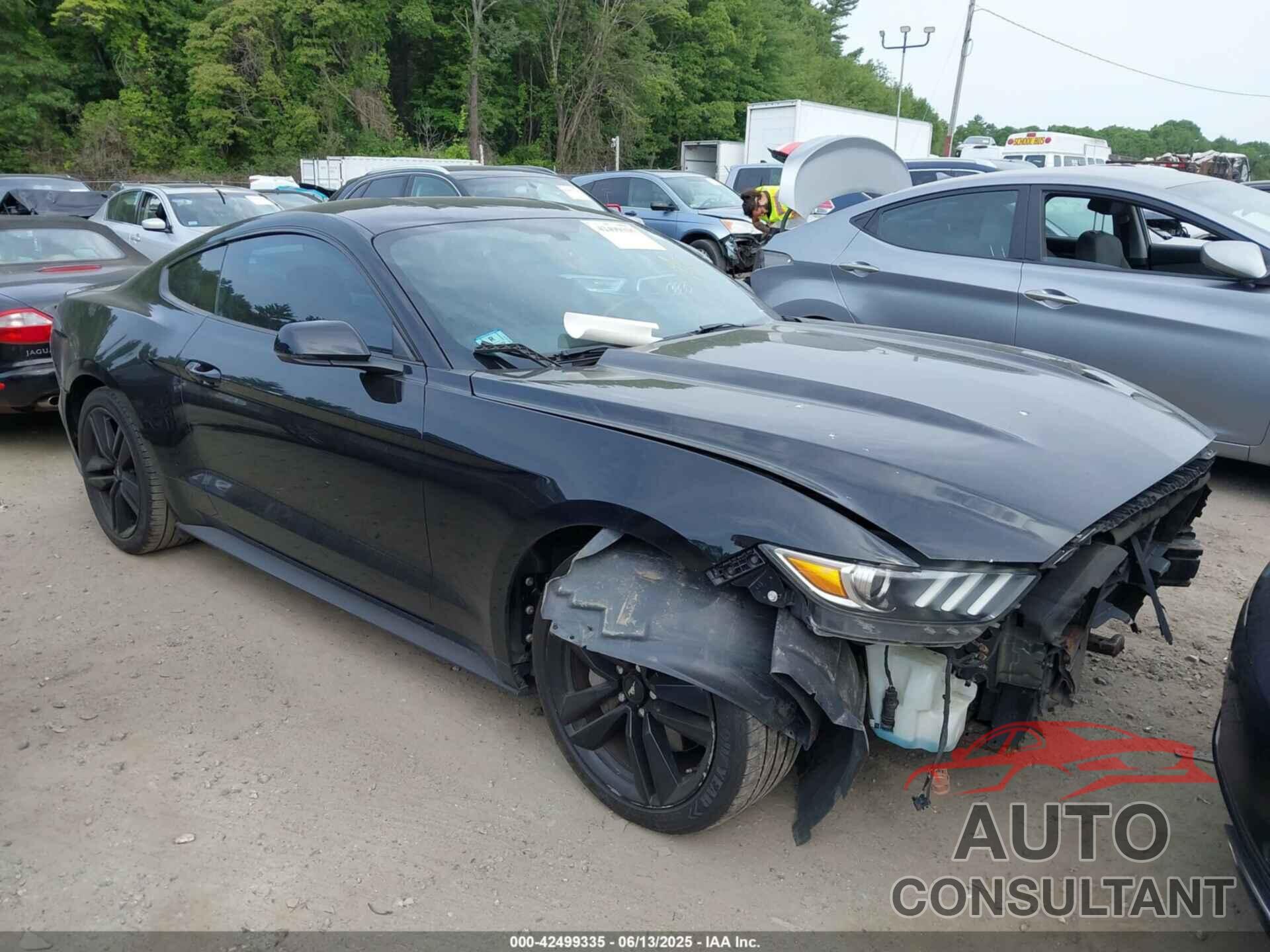 FORD MUSTANG 2016 - 1FA6P8TH7G5235407