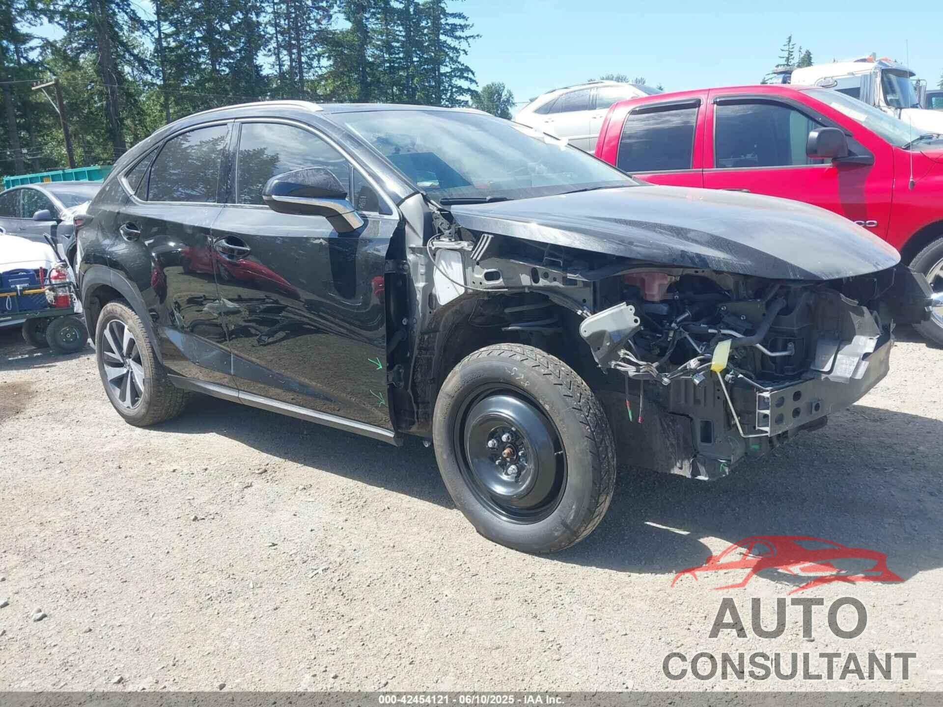 LEXUS NX 300 2019 - JTJBARBZ0K2181305