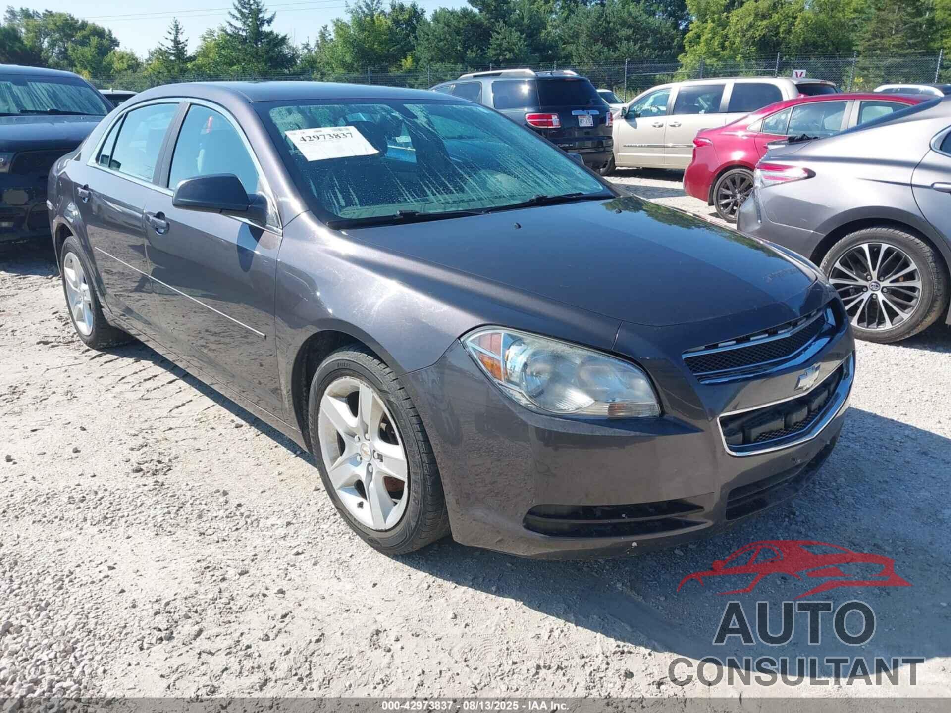 CHEVROLET MALIBU 2011 - 1G1ZB5E18BF341090