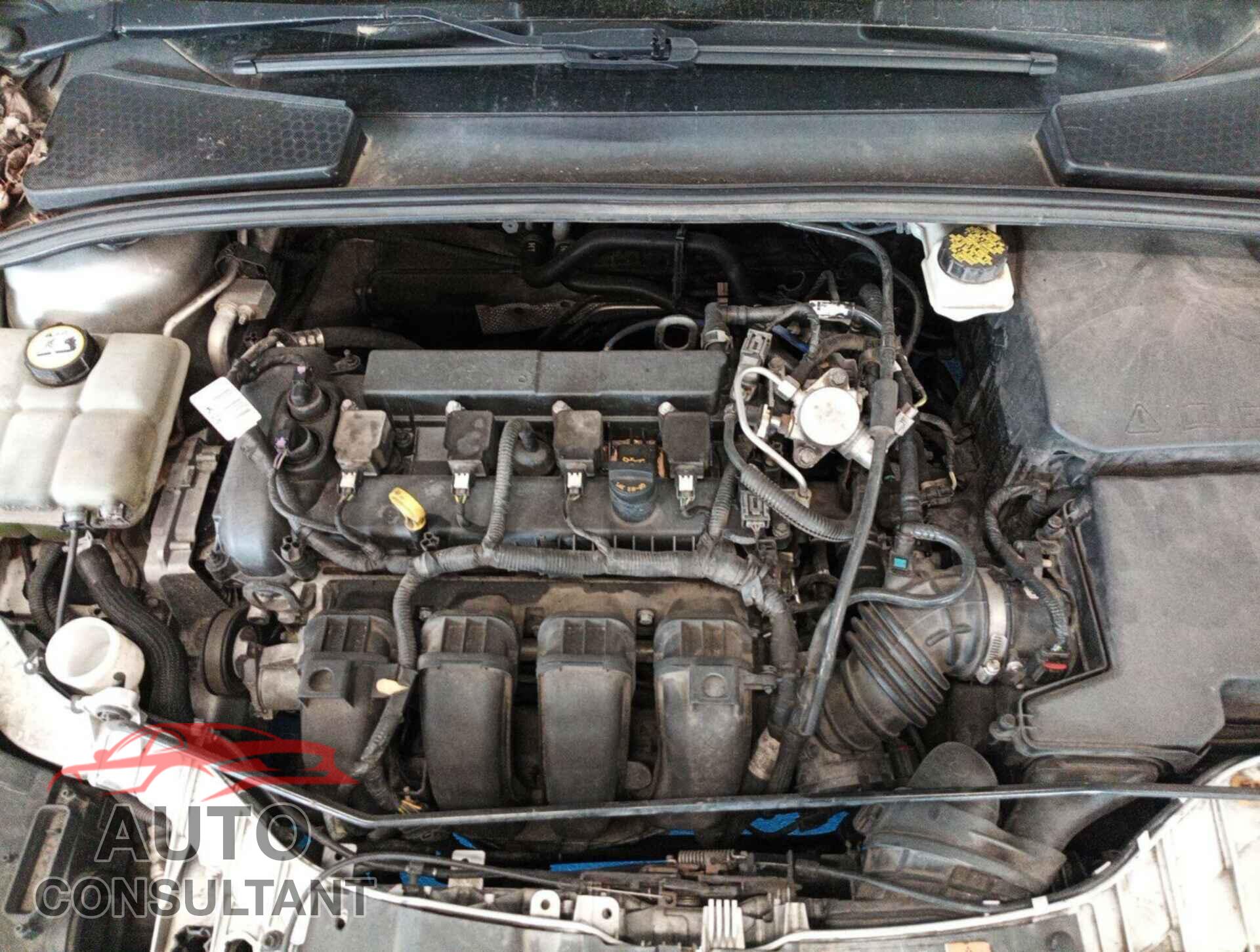 FORD FOCUS 2017 - 1FADP3E23HL272132