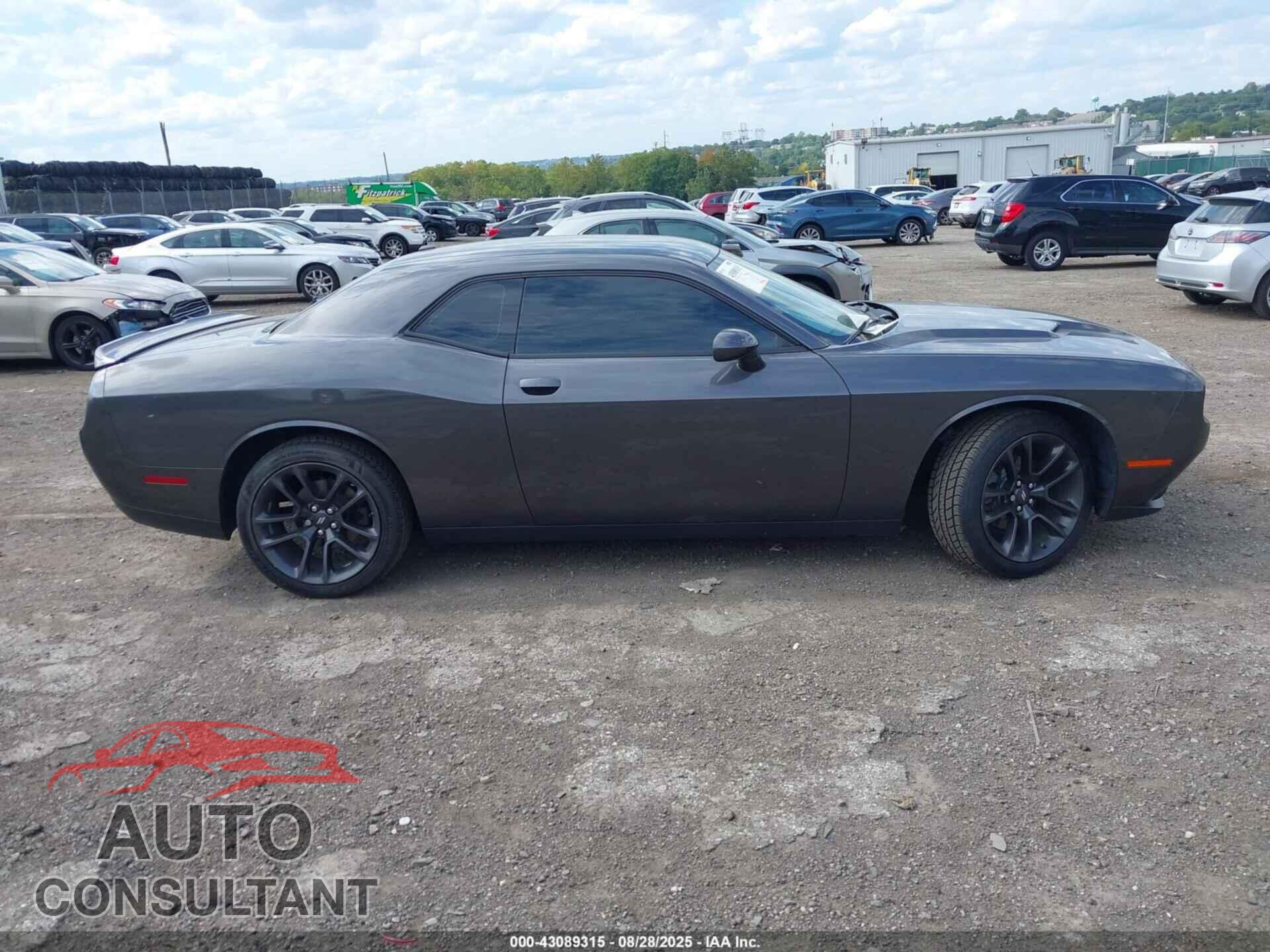 DODGE CHALLENGER 2019 - 2C3CDZAG1KH505887