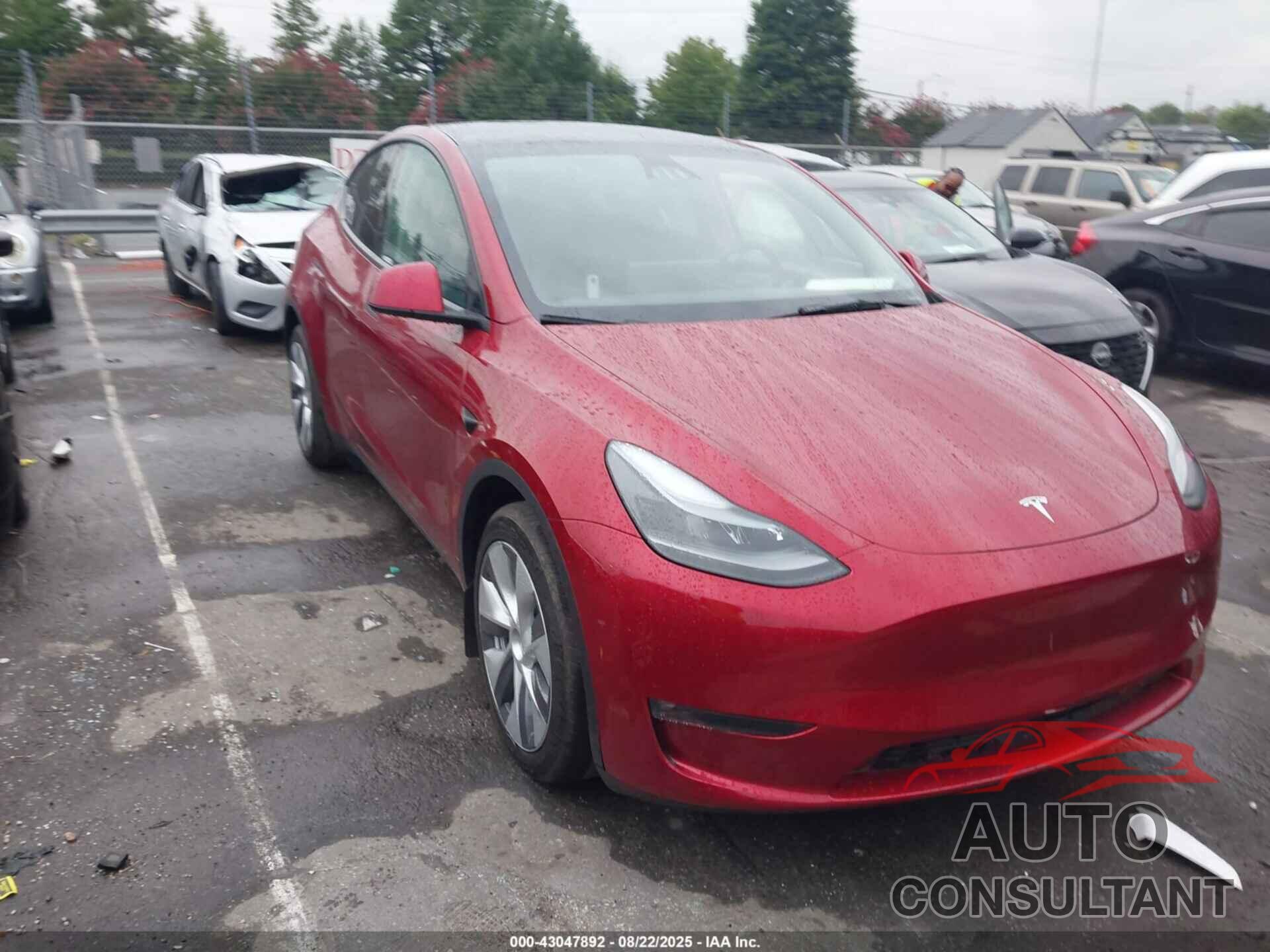 TESLA MODEL Y 2024 - 7SAYGDEE1RF988367