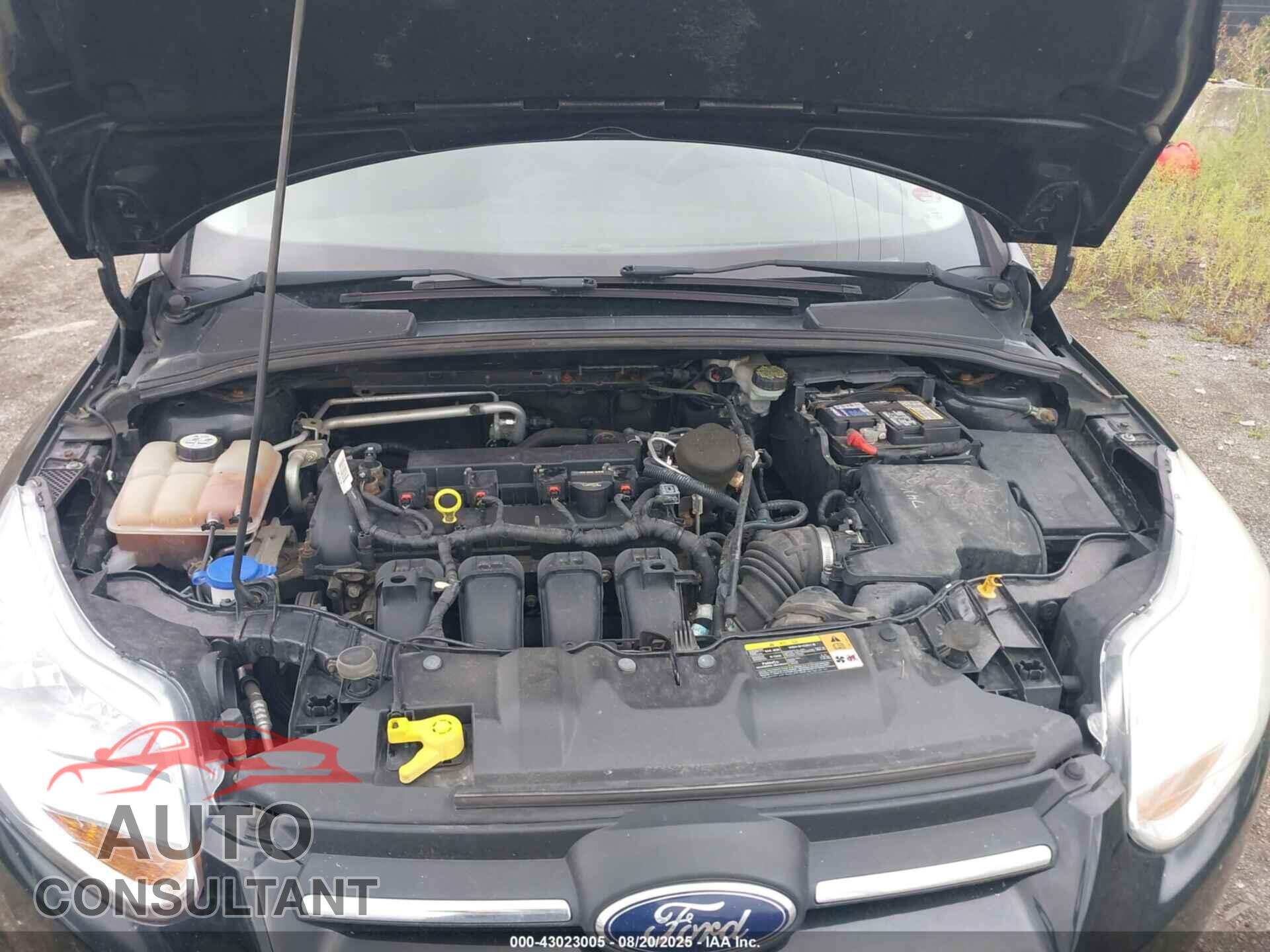 FORD FOCUS 2013 - 1FADP3F21DL262076