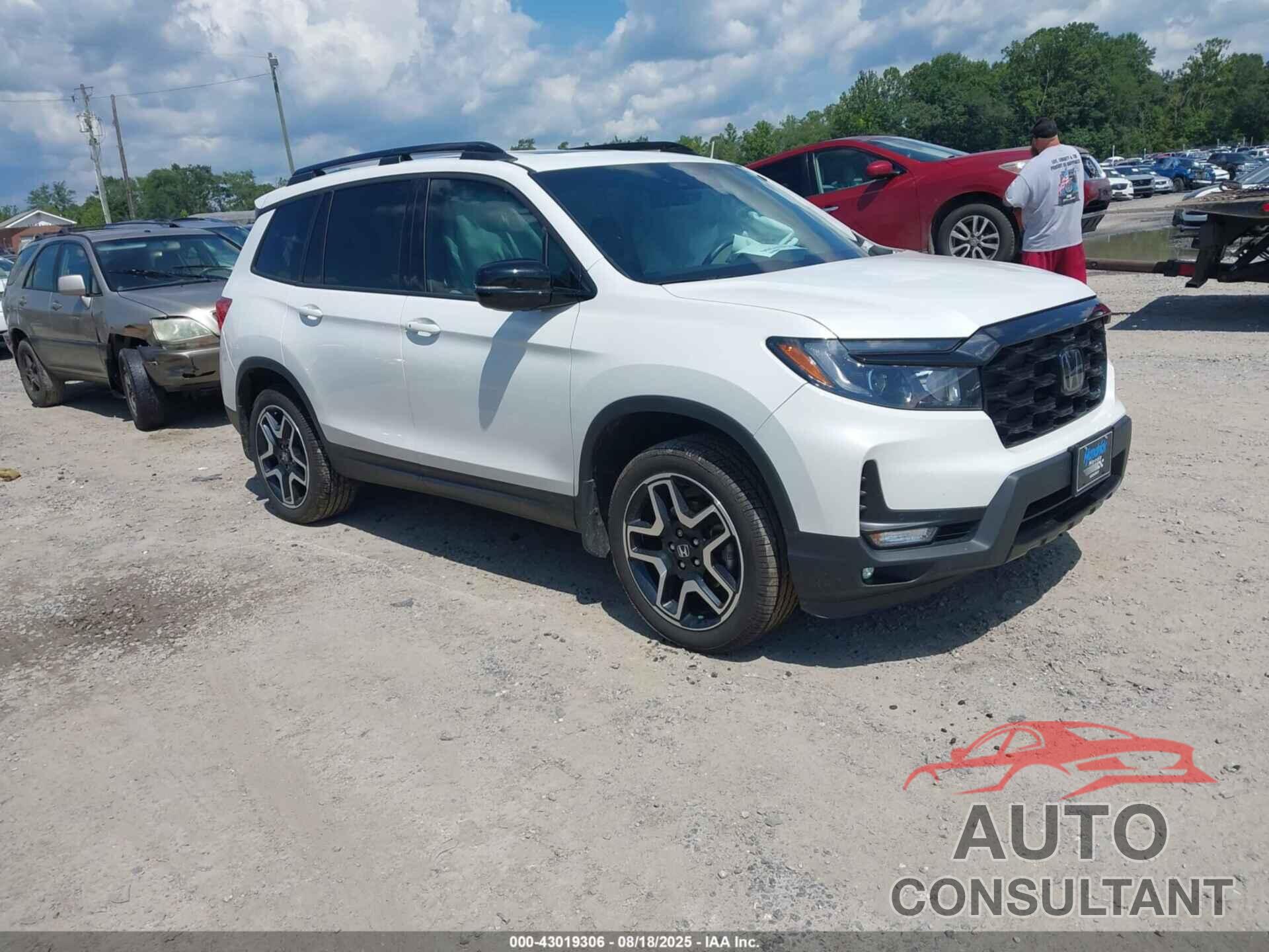 HONDA PASSPORT 2023 - 5FNYF8H01PB005336