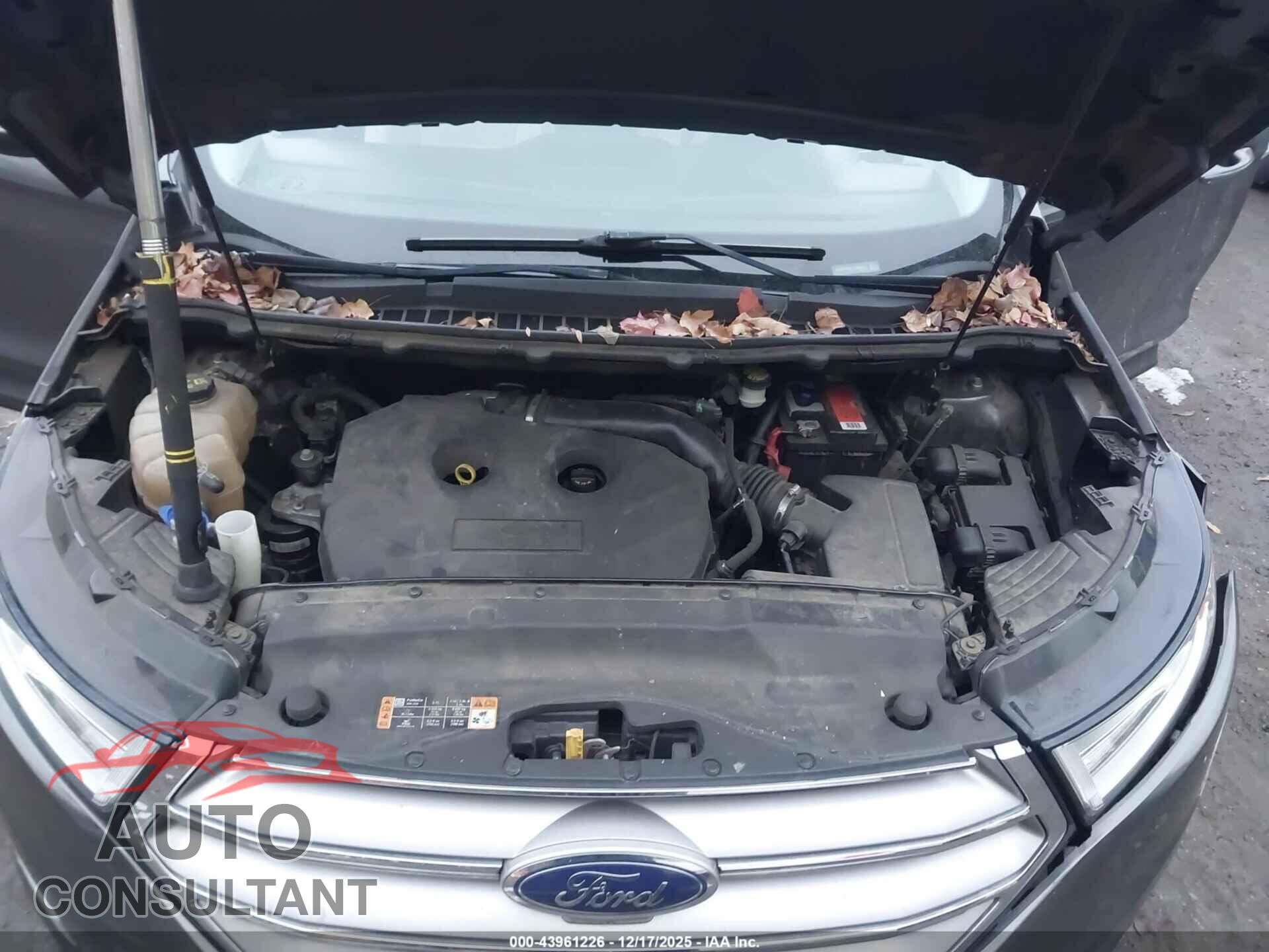 FORD EDGE 2015 - 2FMPK3K91FBB64611