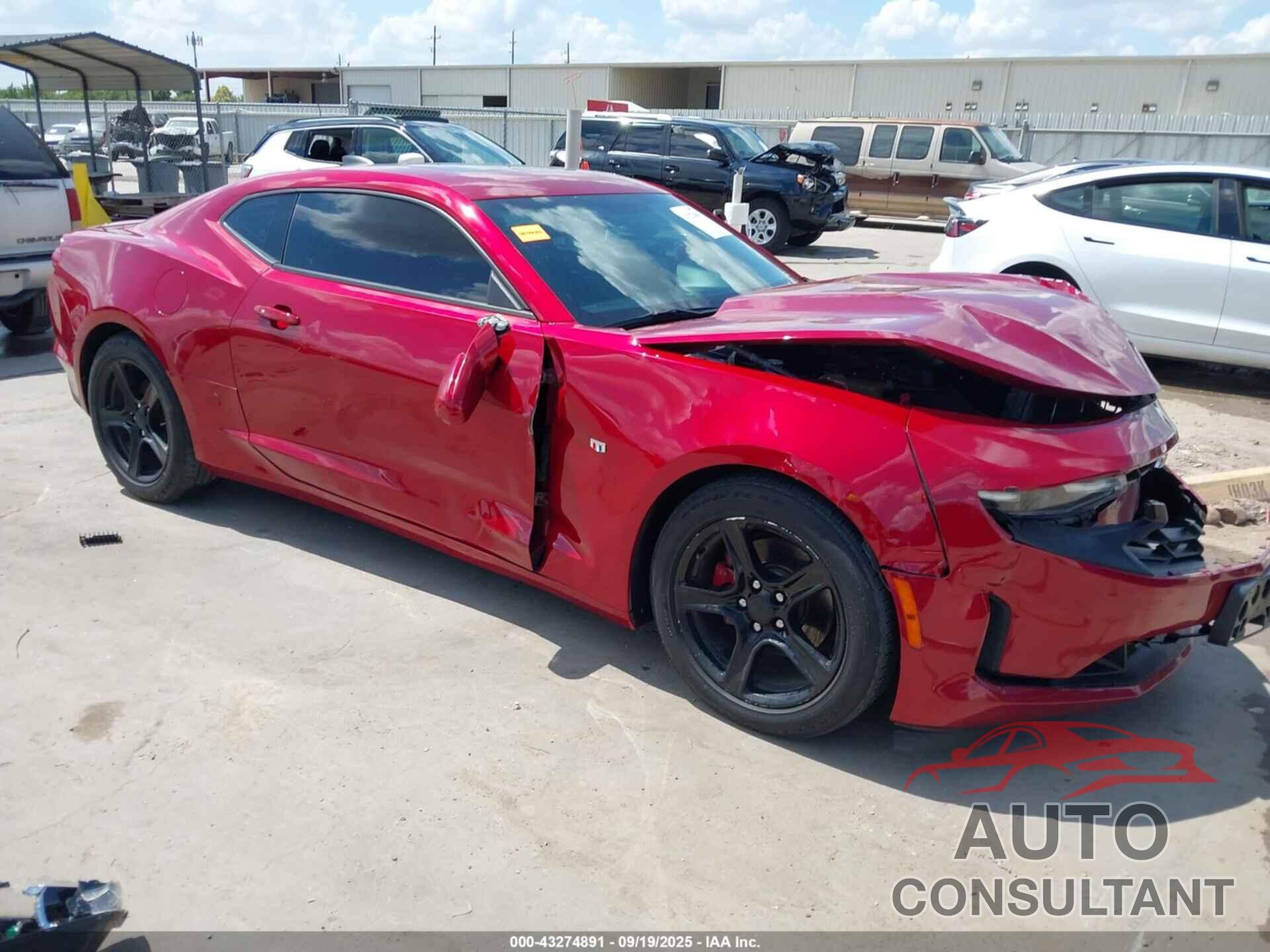 CHEVROLET CAMARO 2019 - 1G1FB1RX6K0119225