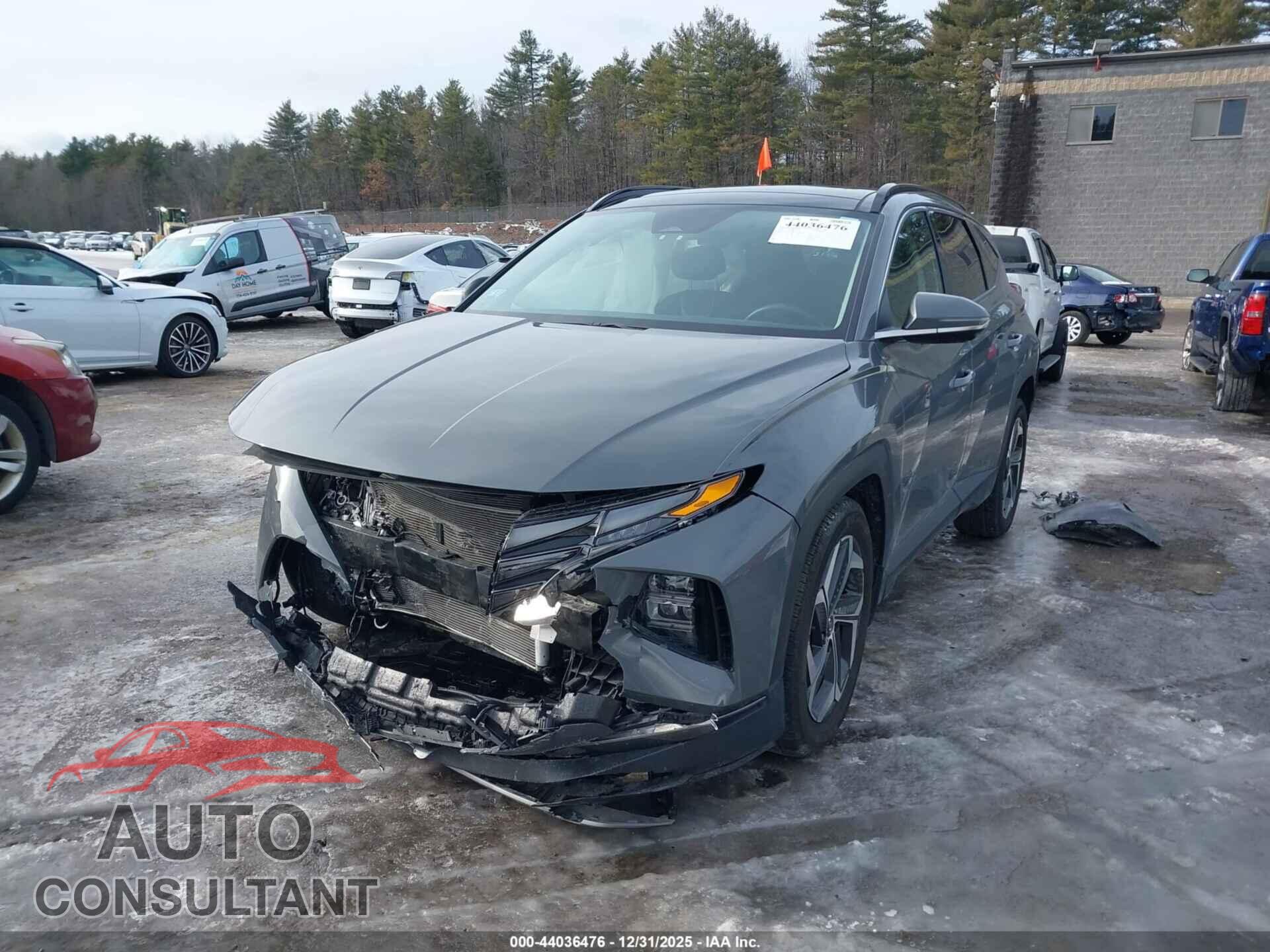 HYUNDAI TUCSON 2024 - 5NMJECDE8RH395491