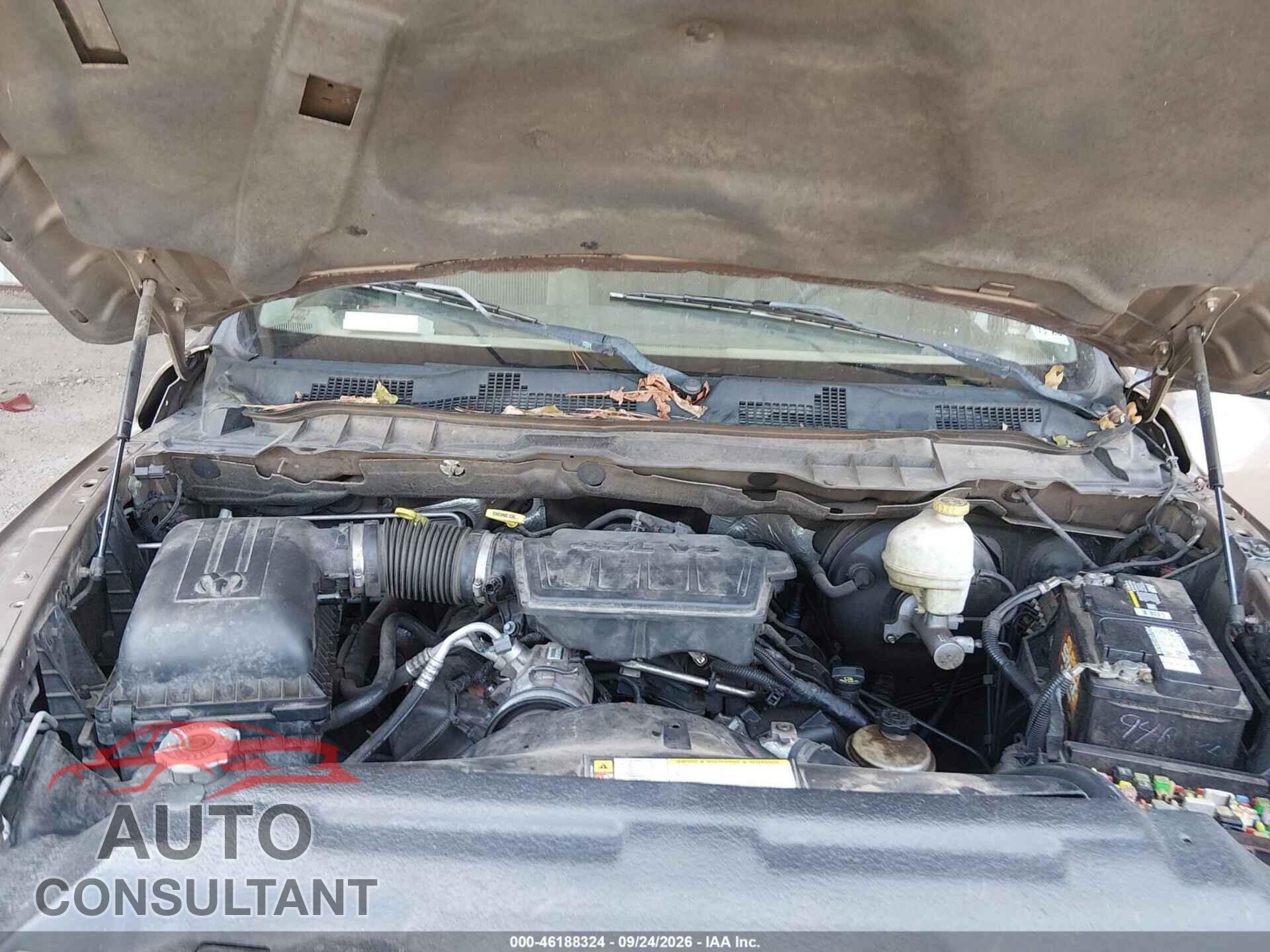 DODGE RAM 1500 2010 - 1D7RB1CP4AS196049