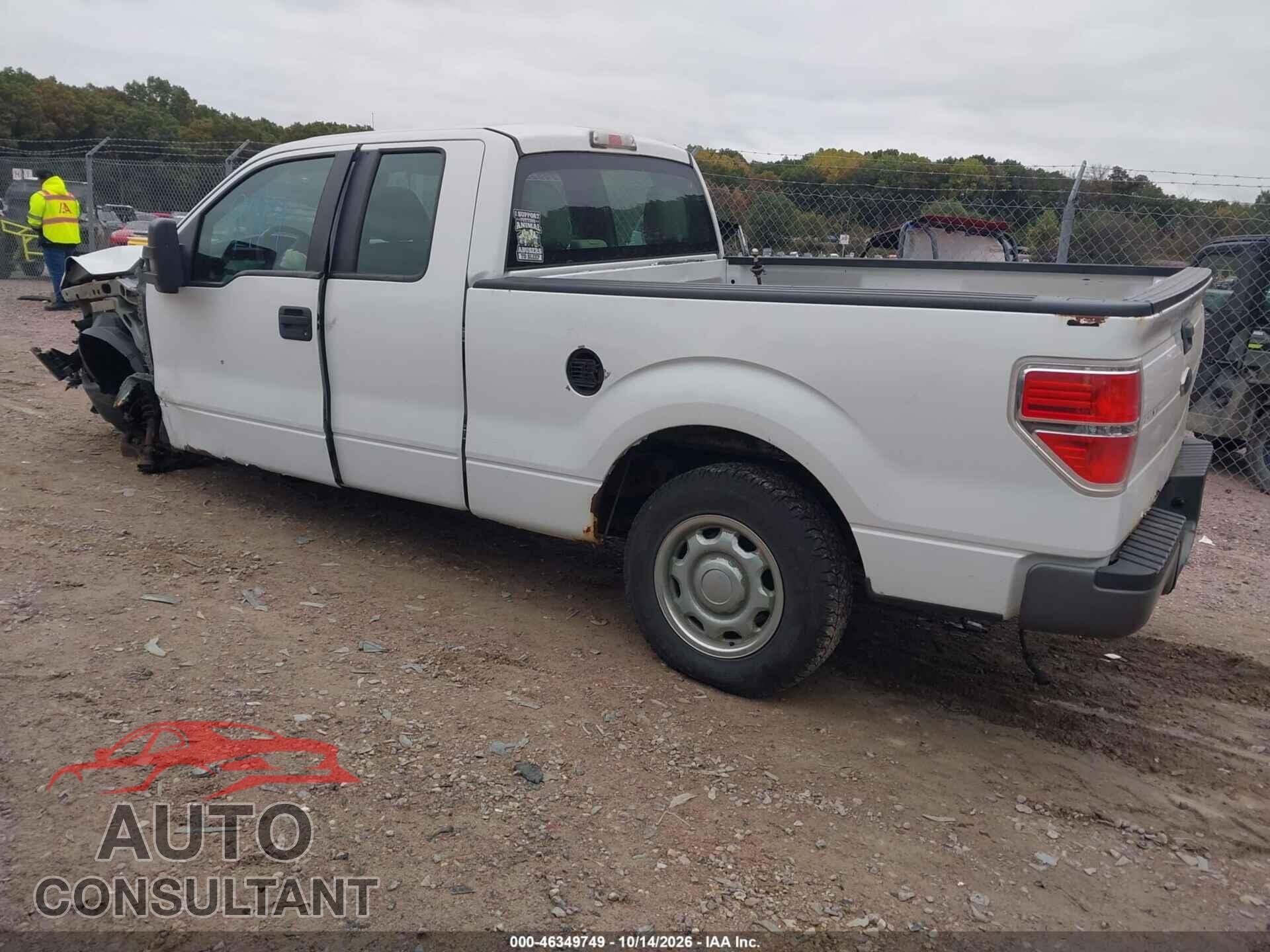 FORD F-150 2010 - 1FTFX1EV3AKE38789