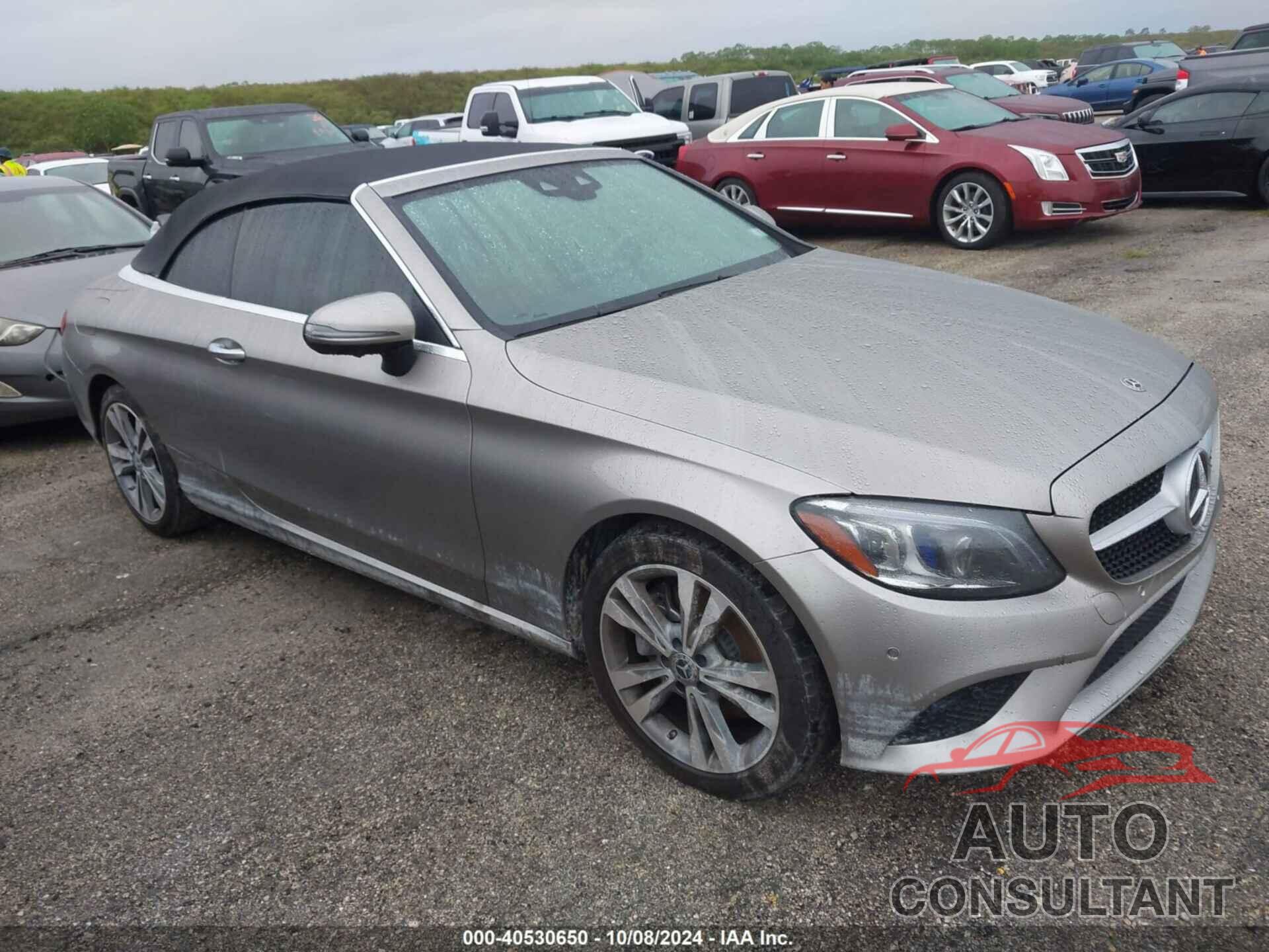 MERCEDES-BENZ C 300 2020 - WDDWK8DB1LF955735