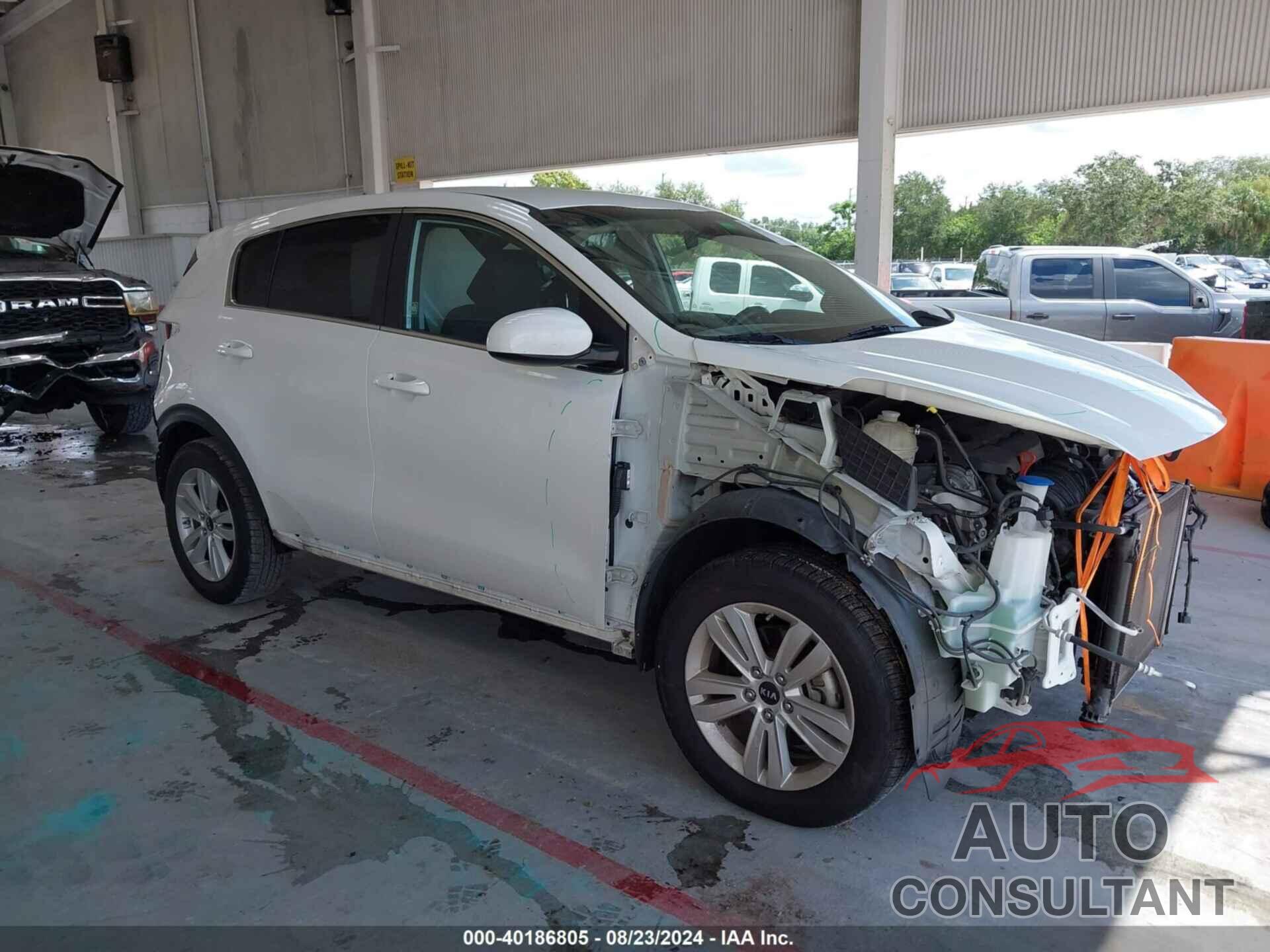 KIA SPORTAGE 2019 - KNDPM3AC2K7552817