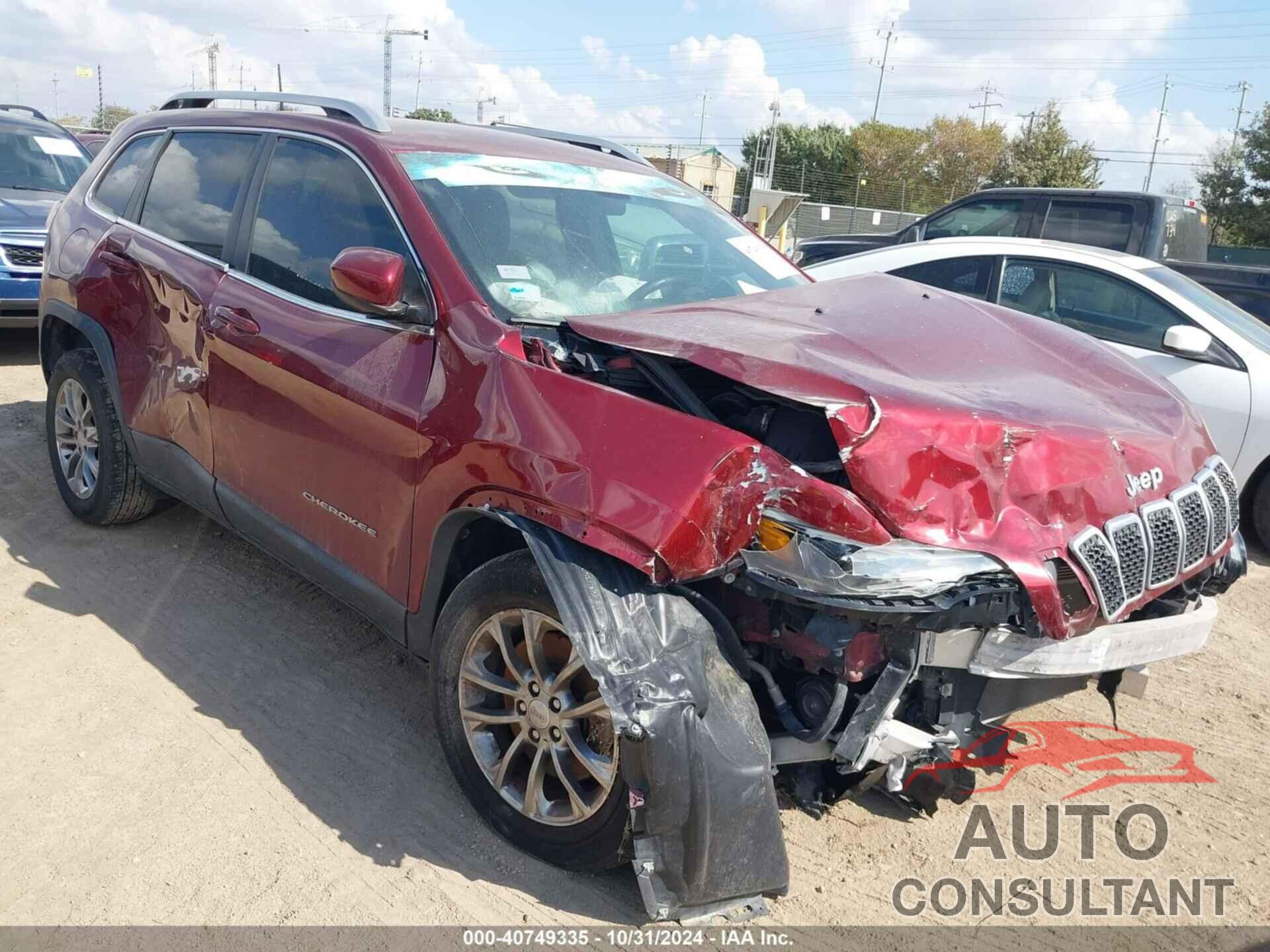 JEEP CHEROKEE 2019 - 1C4PJLLB8KD205121