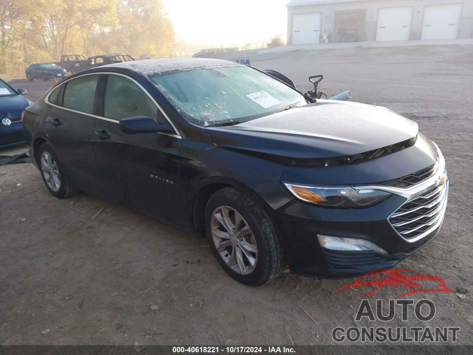 CHEVROLET MALIBU 2019 - 1G1ZD5ST6KF172025