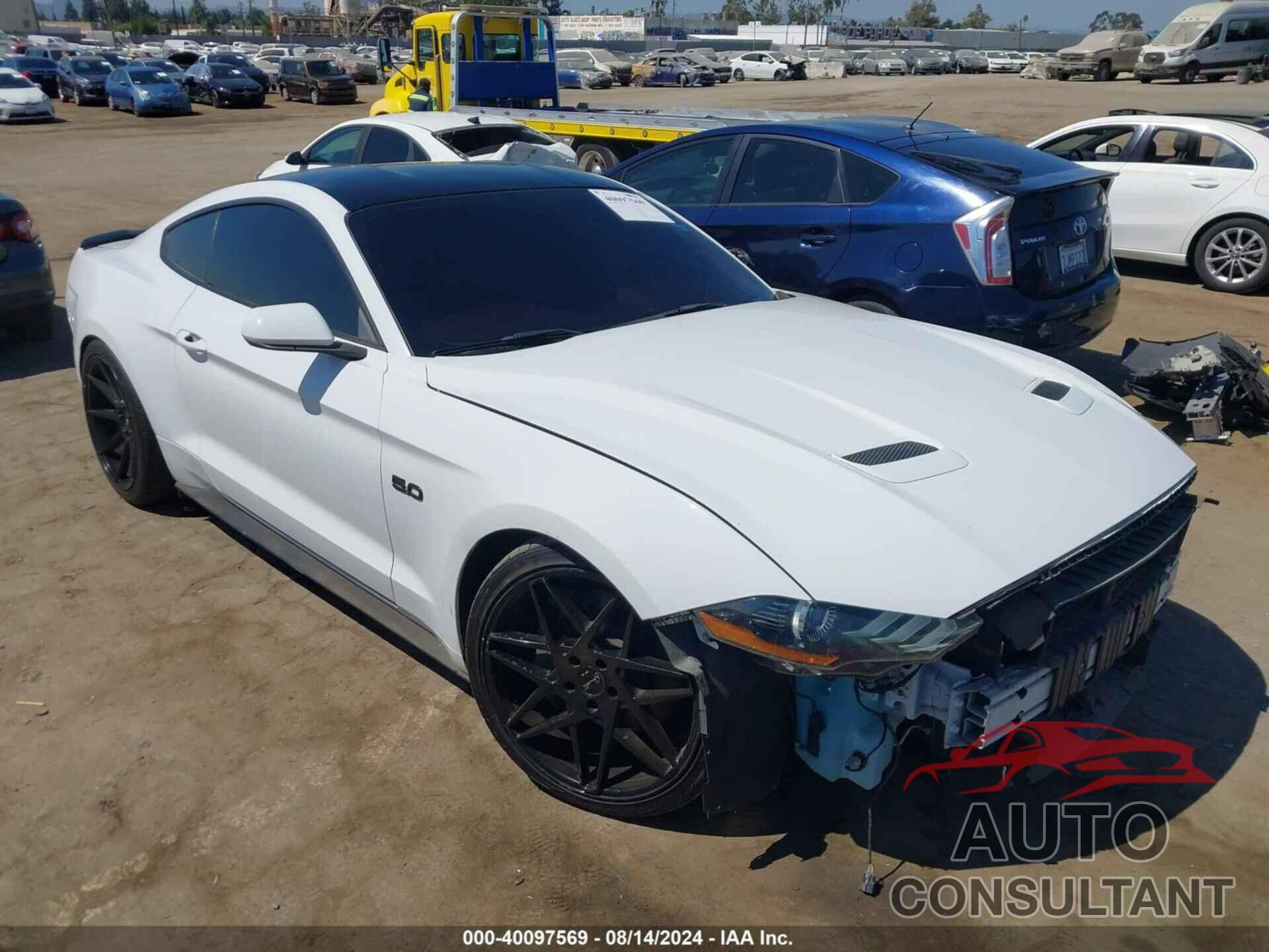 FORD MUSTANG 2019 - 1FA6P8CF9K5169305