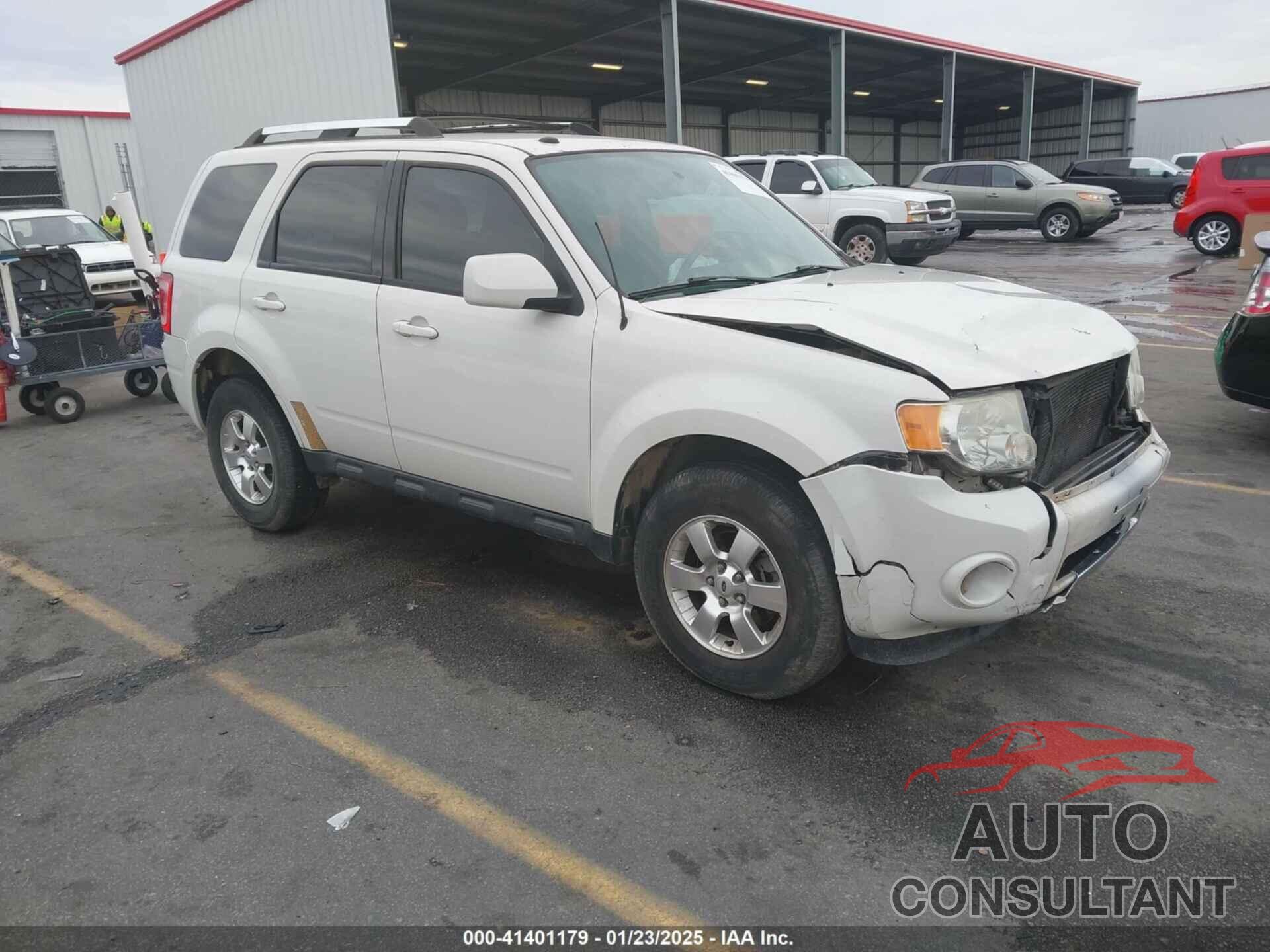 FORD ESCAPE 2011 - 1FMCU9EG2BKB35656