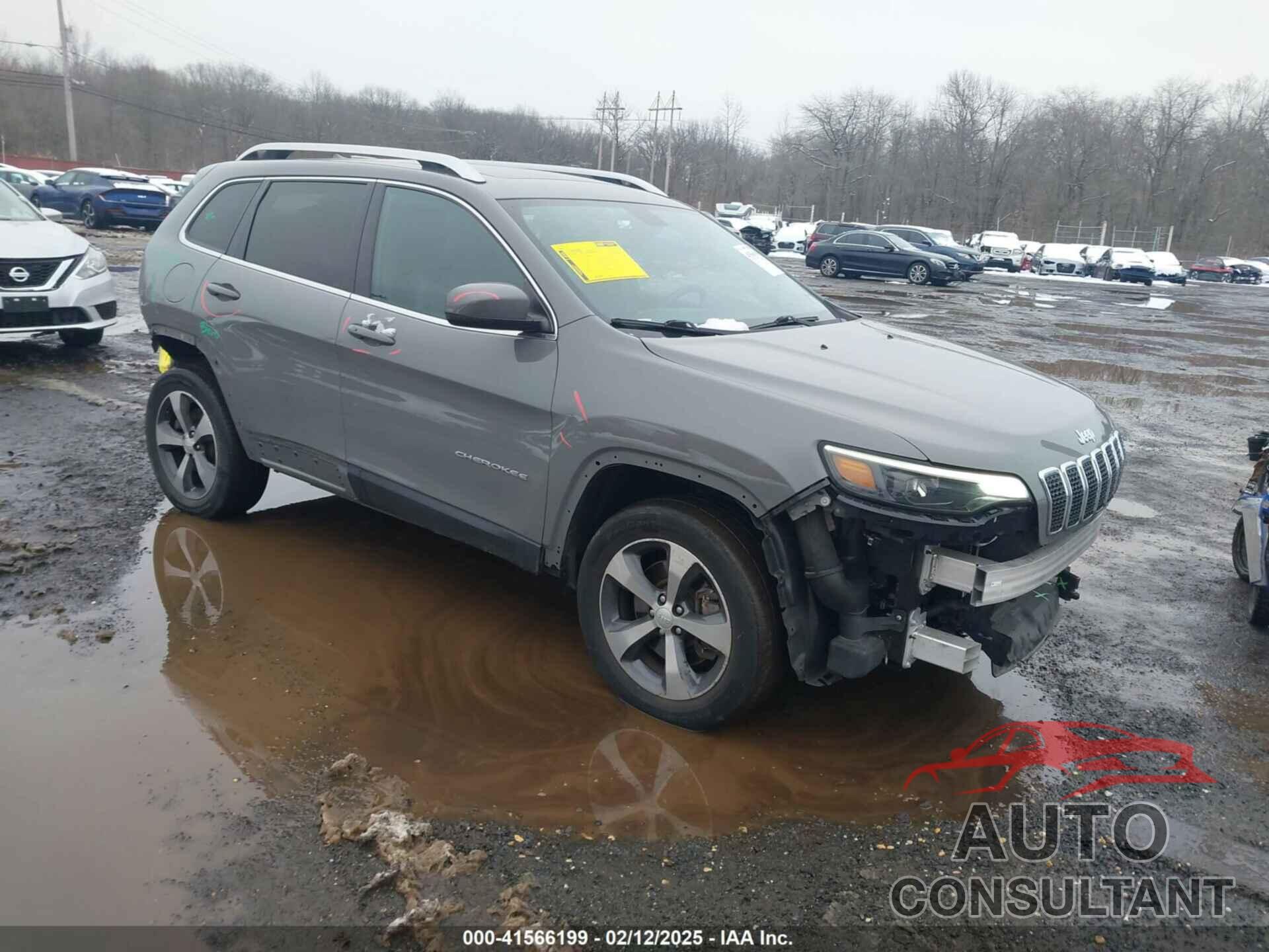 JEEP CHEROKEE 2019 - 1C4PJMDN1KD408513