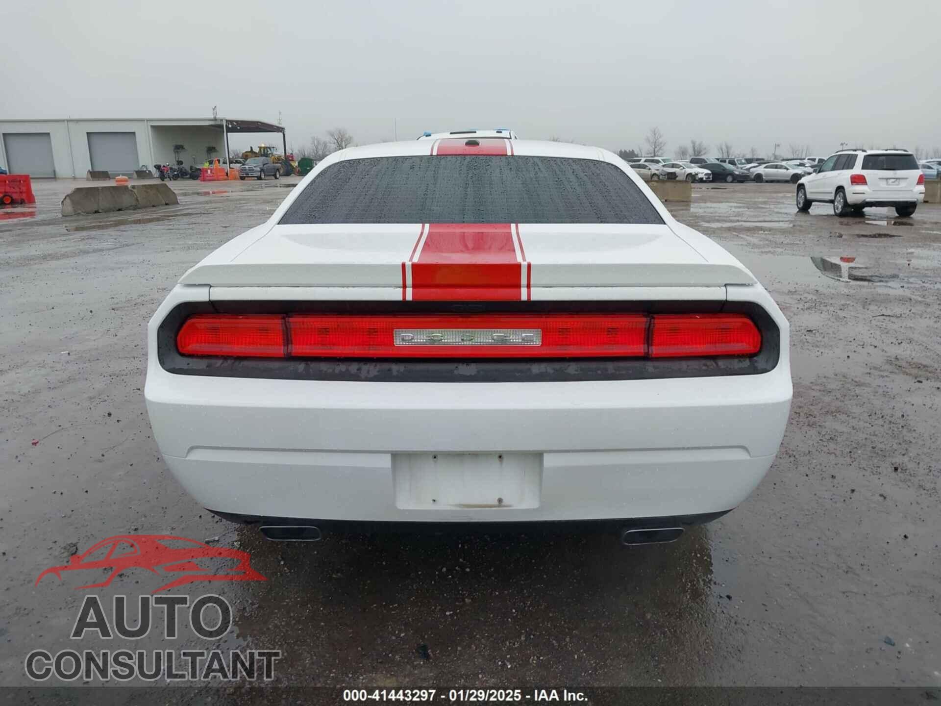 DODGE CHALLENGER 2012 - 2C3CDYAG2CH294873
