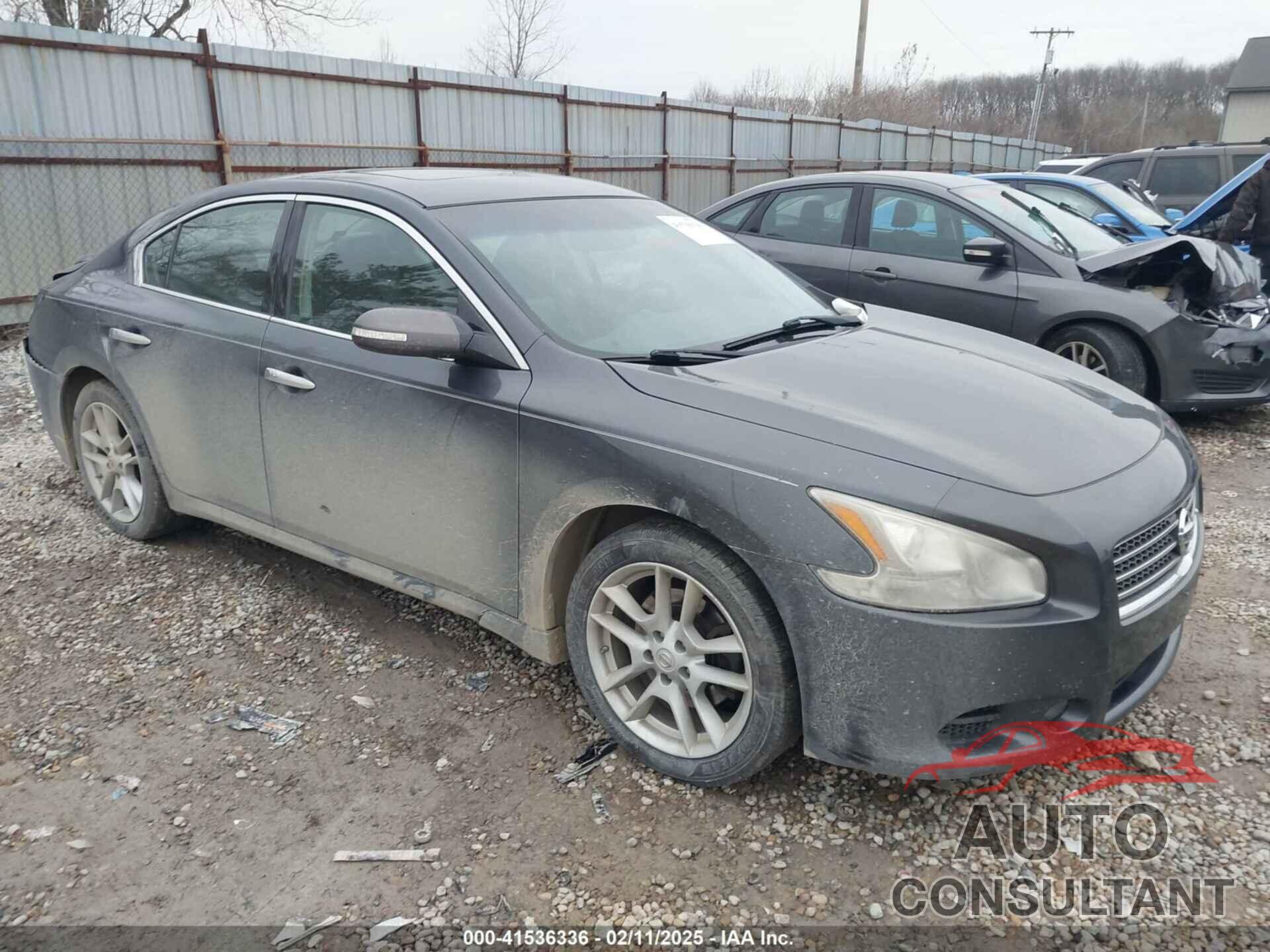 NISSAN MAXIMA 2011 - 1N4AA5APXBC819373