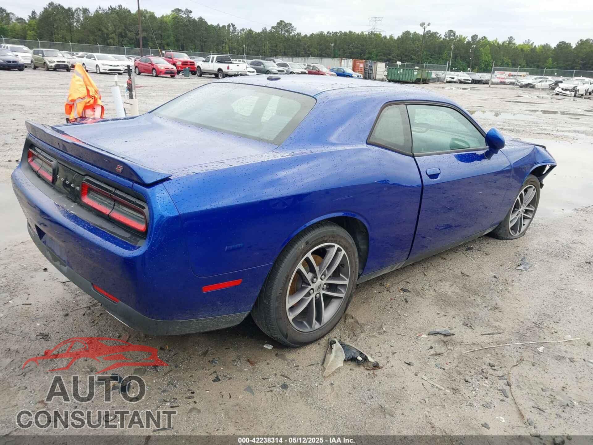 DODGE CHALLENGER 2019 - 2C3CDZGG6KH607239