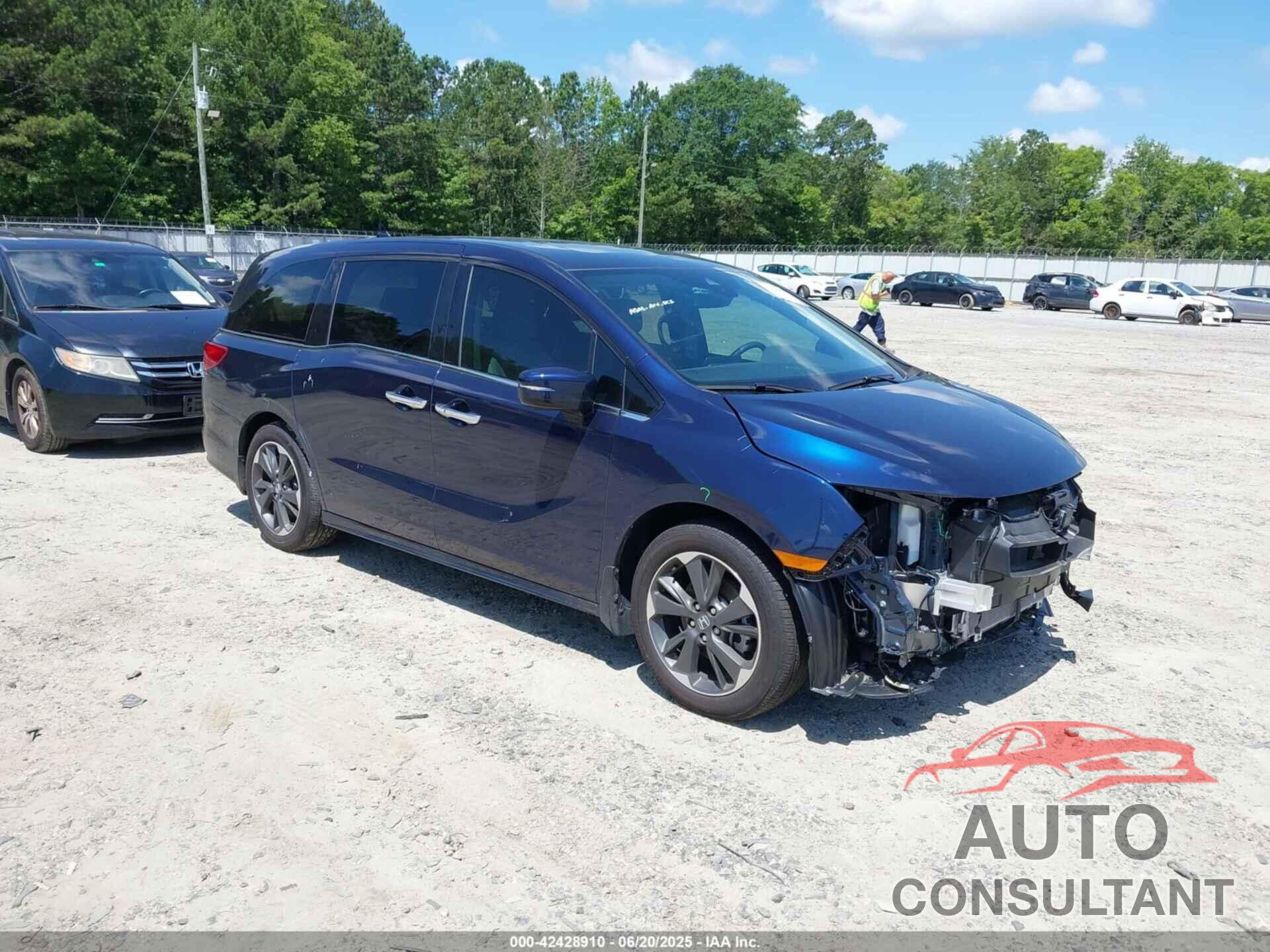 HONDA ODYSSEY 2024 - 5FNRL6H97RB057976