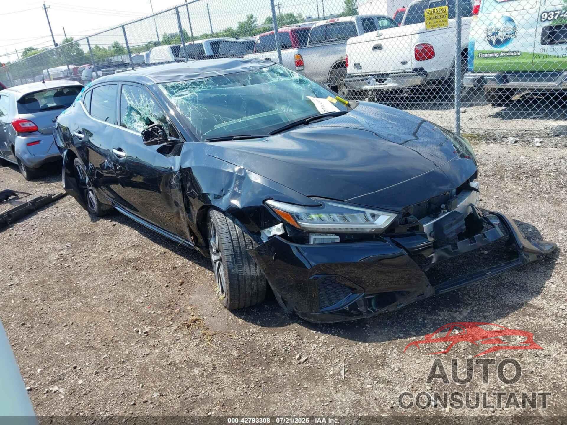 NISSAN MAXIMA 2019 - 1N4AA6AV8KC375494