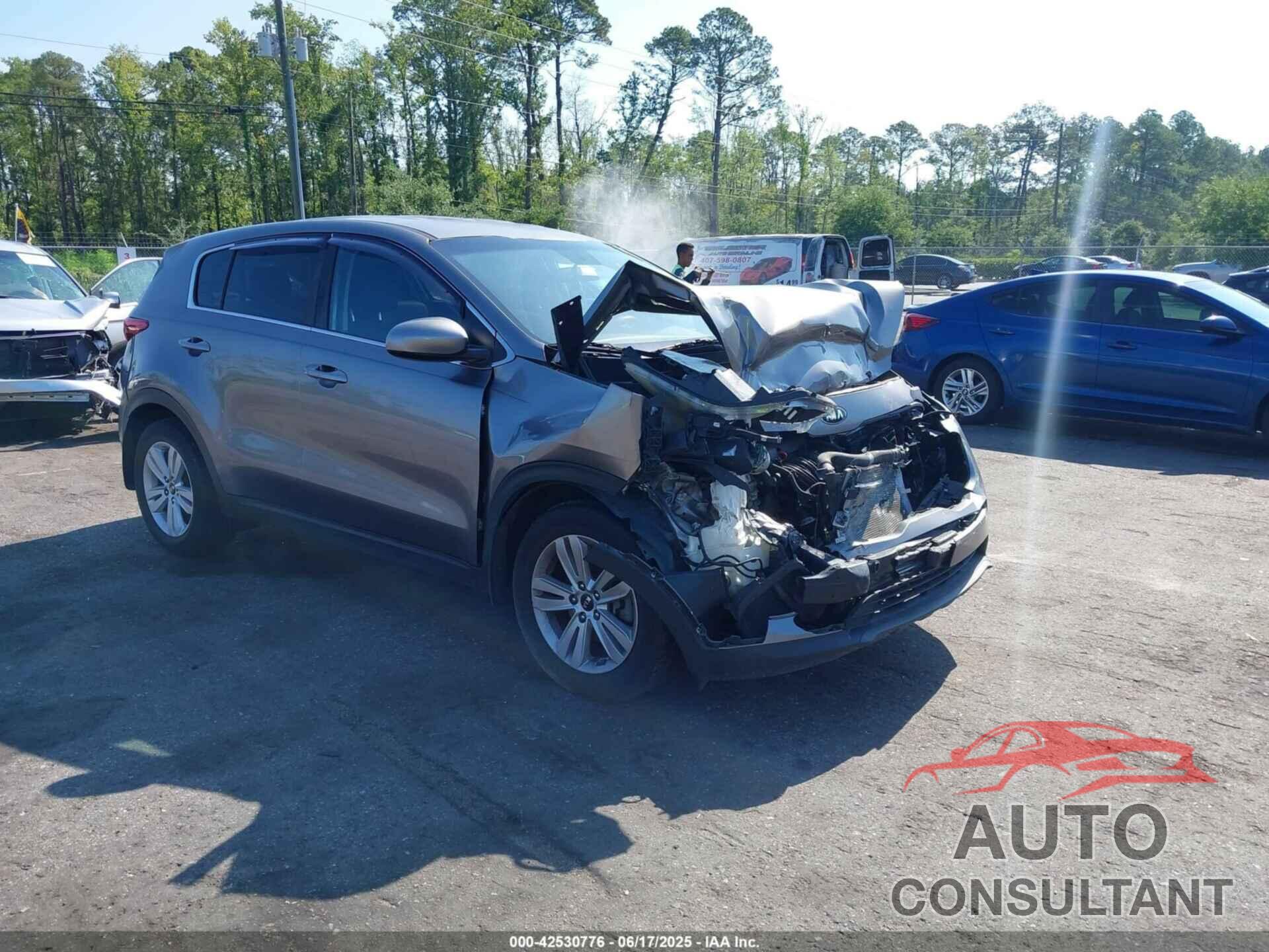 KIA SPORTAGE 2019 - KNDPM3AC1K7525480