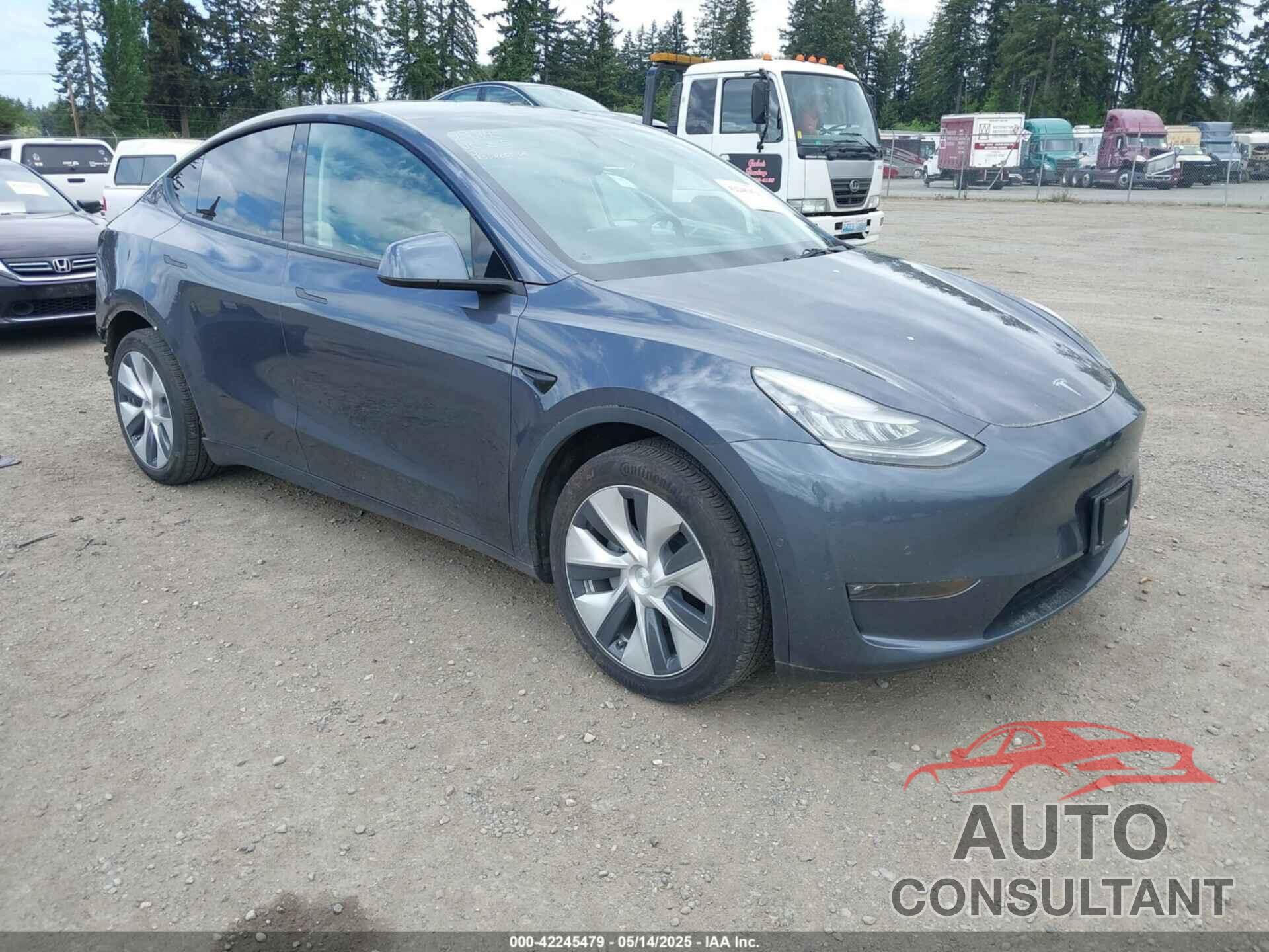 TESLA MODEL Y 2021 - 5YJYGDED5MF109384