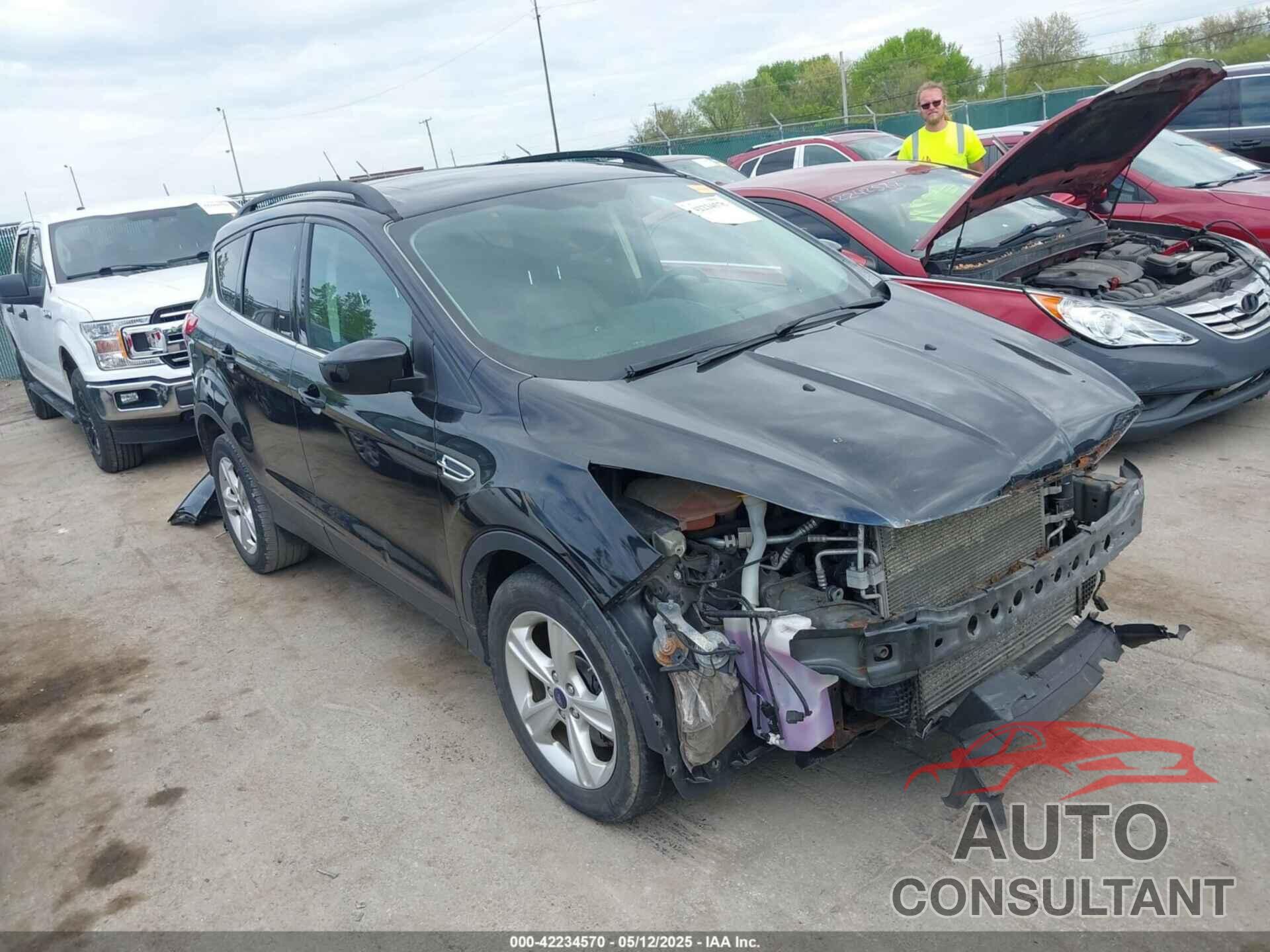 FORD ESCAPE 2014 - 1FMCU0G91EUD42719