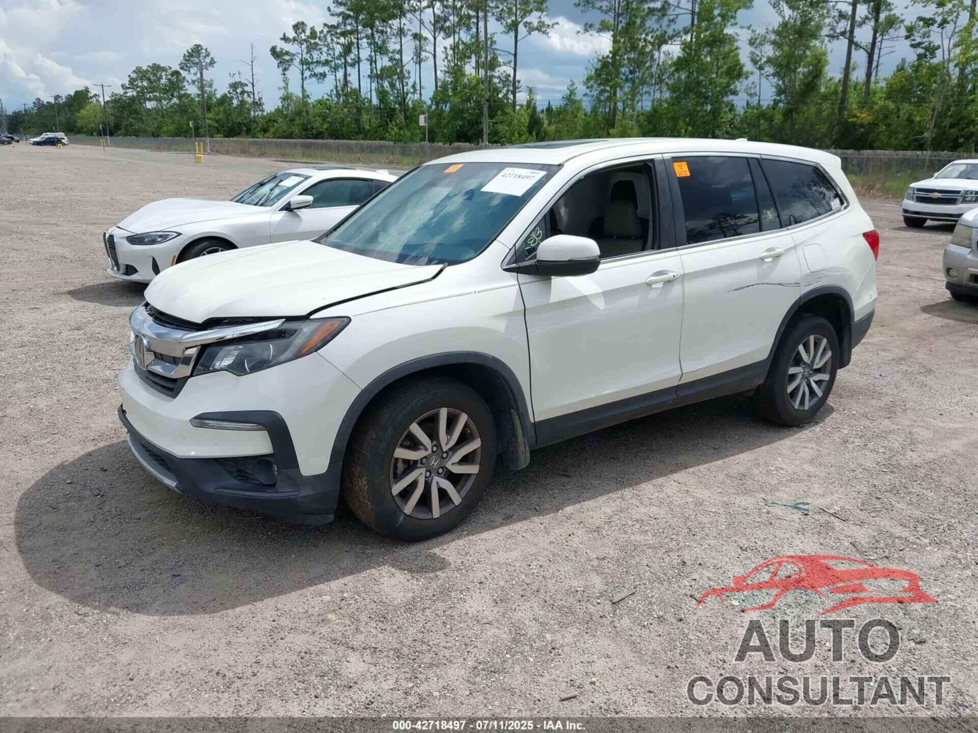 HONDA PILOT 2019 - 5FNYF6H49KB067552