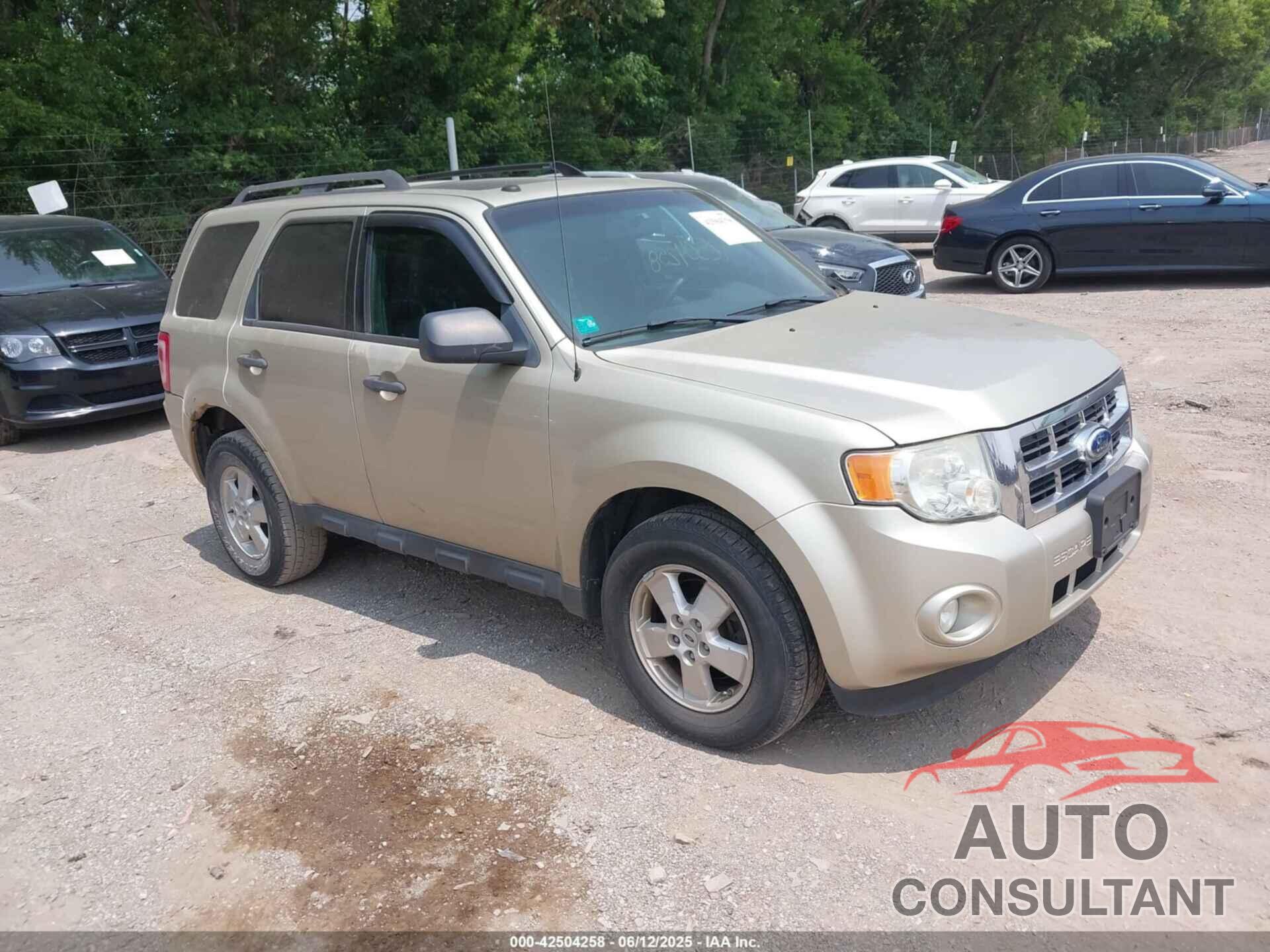 FORD ESCAPE 2010 - 1FMCU9D71AKA94985