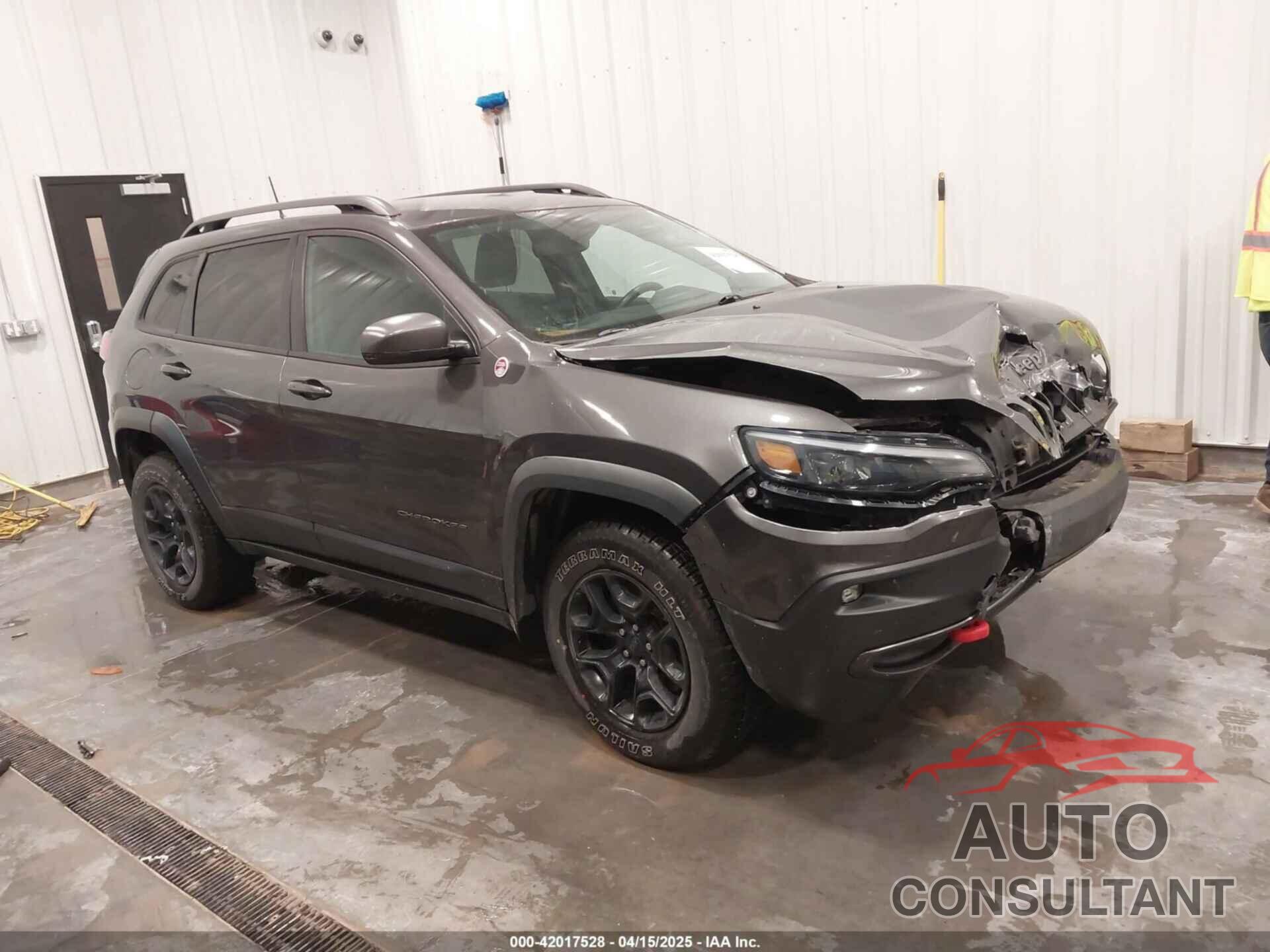 JEEP CHEROKEE 2019 - 1C4PJMBN2KD258303