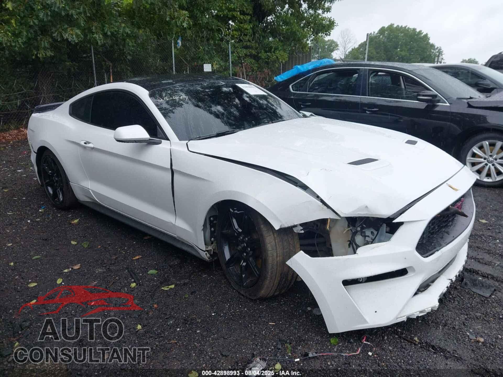FORD MUSTANG 2019 - 1FA6P8TH3K5111482