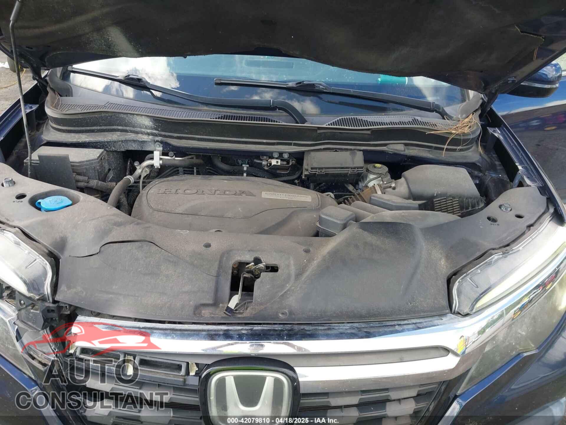 HONDA RIDGELINE 2019 - 5FPYK3F76KB010613