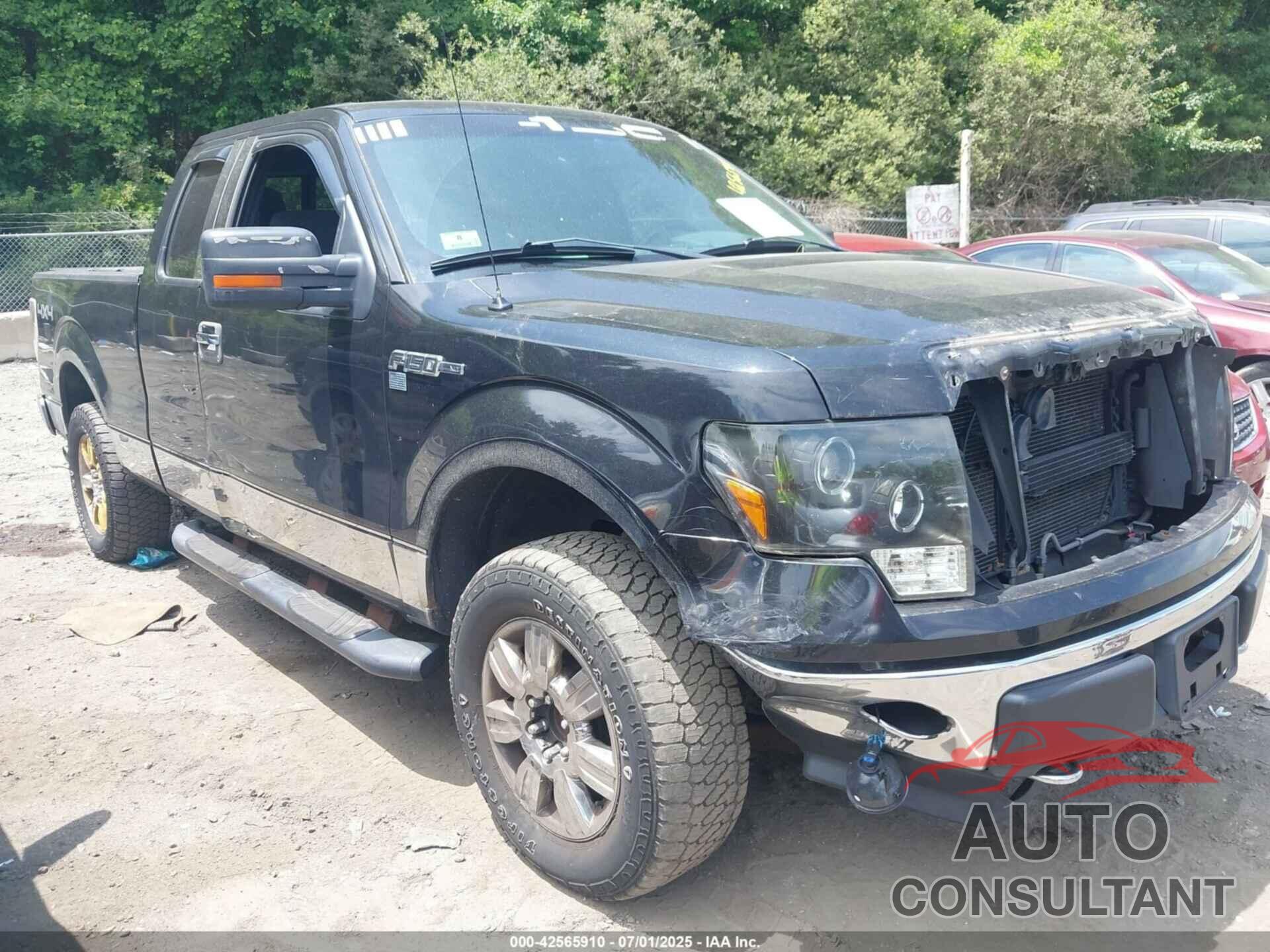 FORD F-150 2012 - 1FTFX1EF7CFA64319