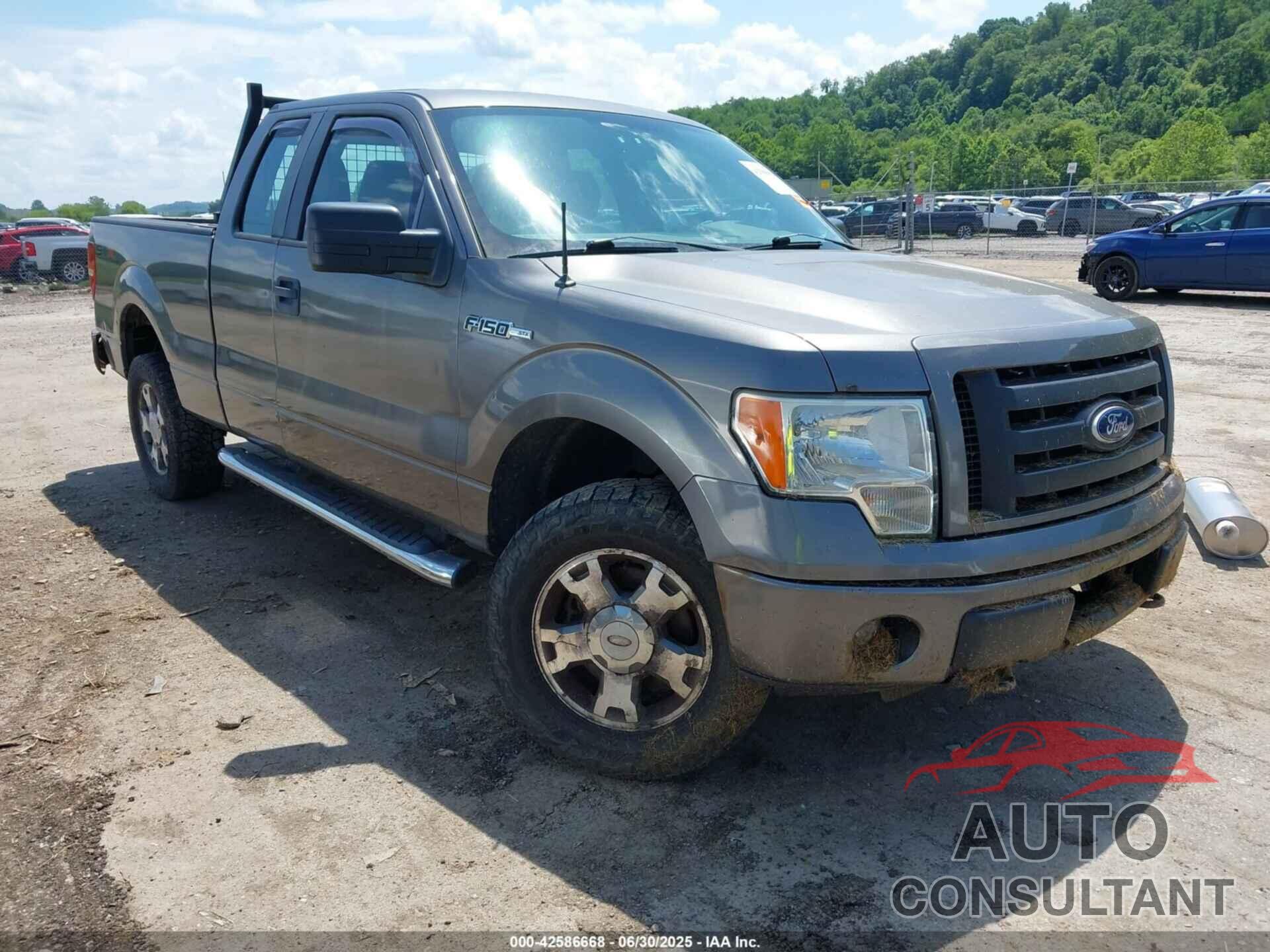 FORD F-150 2010 - 1FTEX1EW3AFC76479
