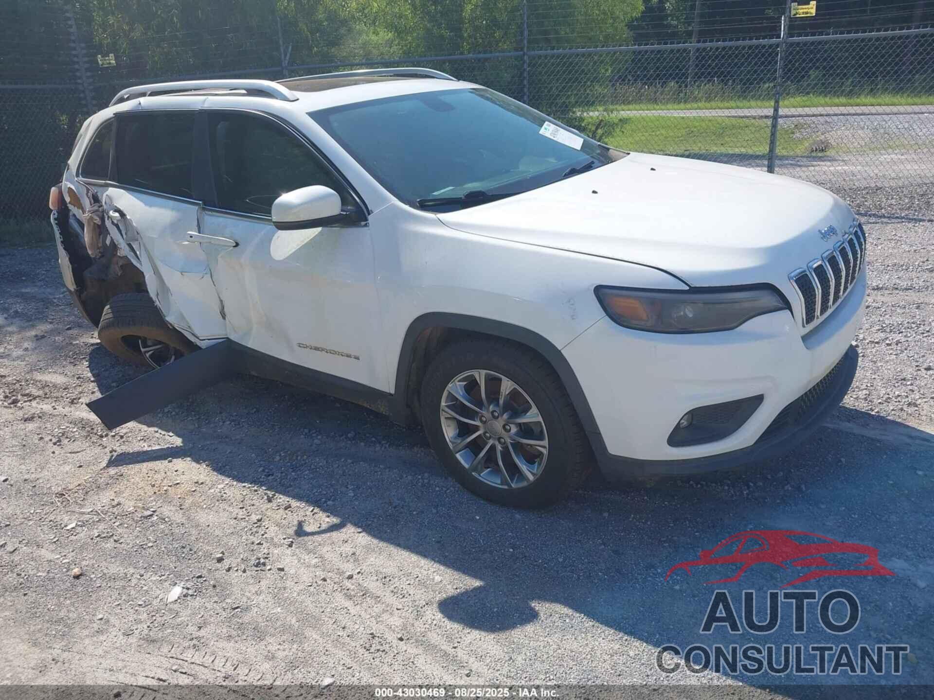 JEEP CHEROKEE 2019 - 1C4PJLLB8KD332287