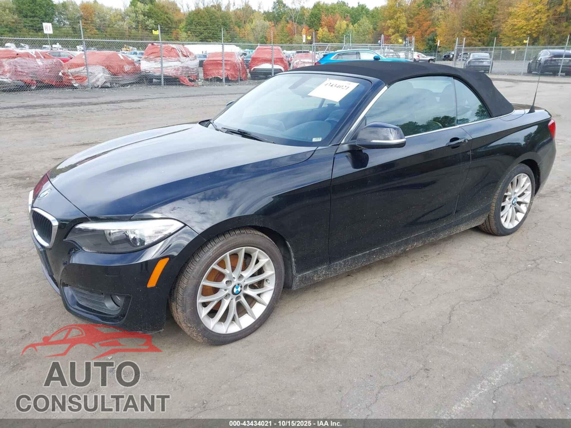 BMW 228I 2015 - WBA1K7C54FV235329