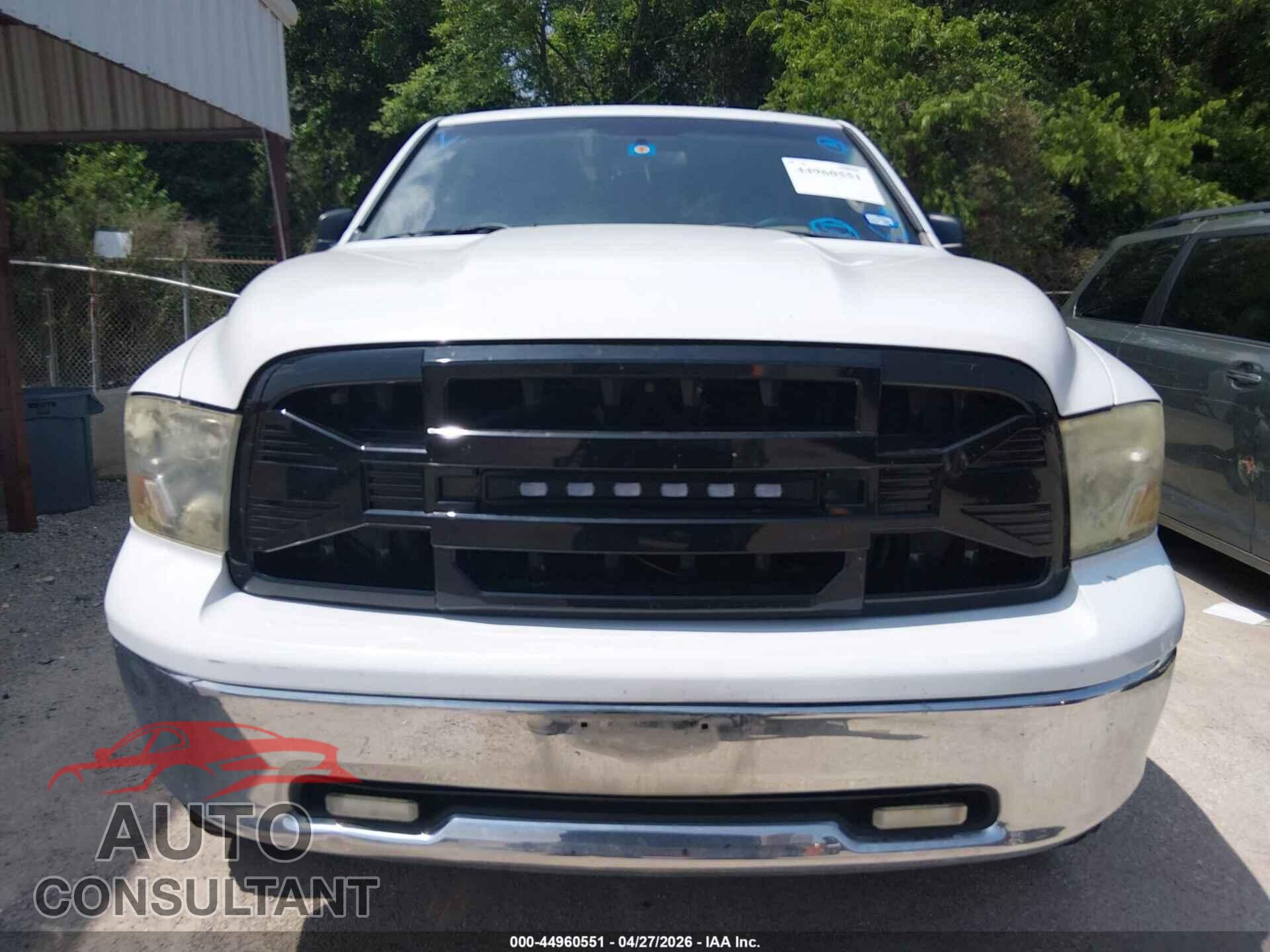 DODGE RAM 1500 2010 - 1D7RB1CP4AS235870