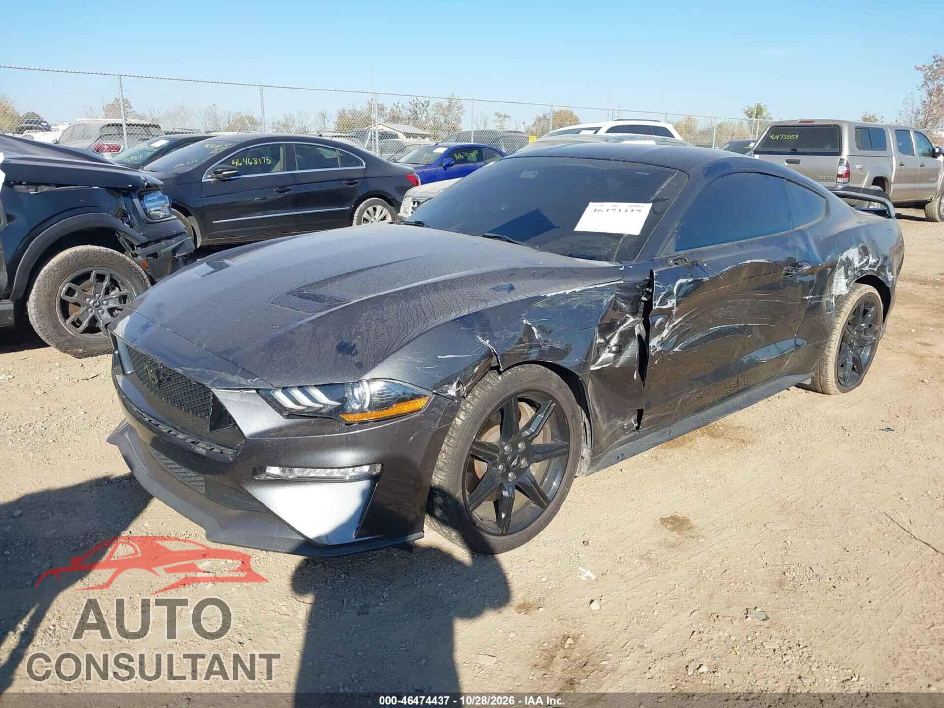 FORD MUSTANG 2019 - 1FA6P8CF7K5142555