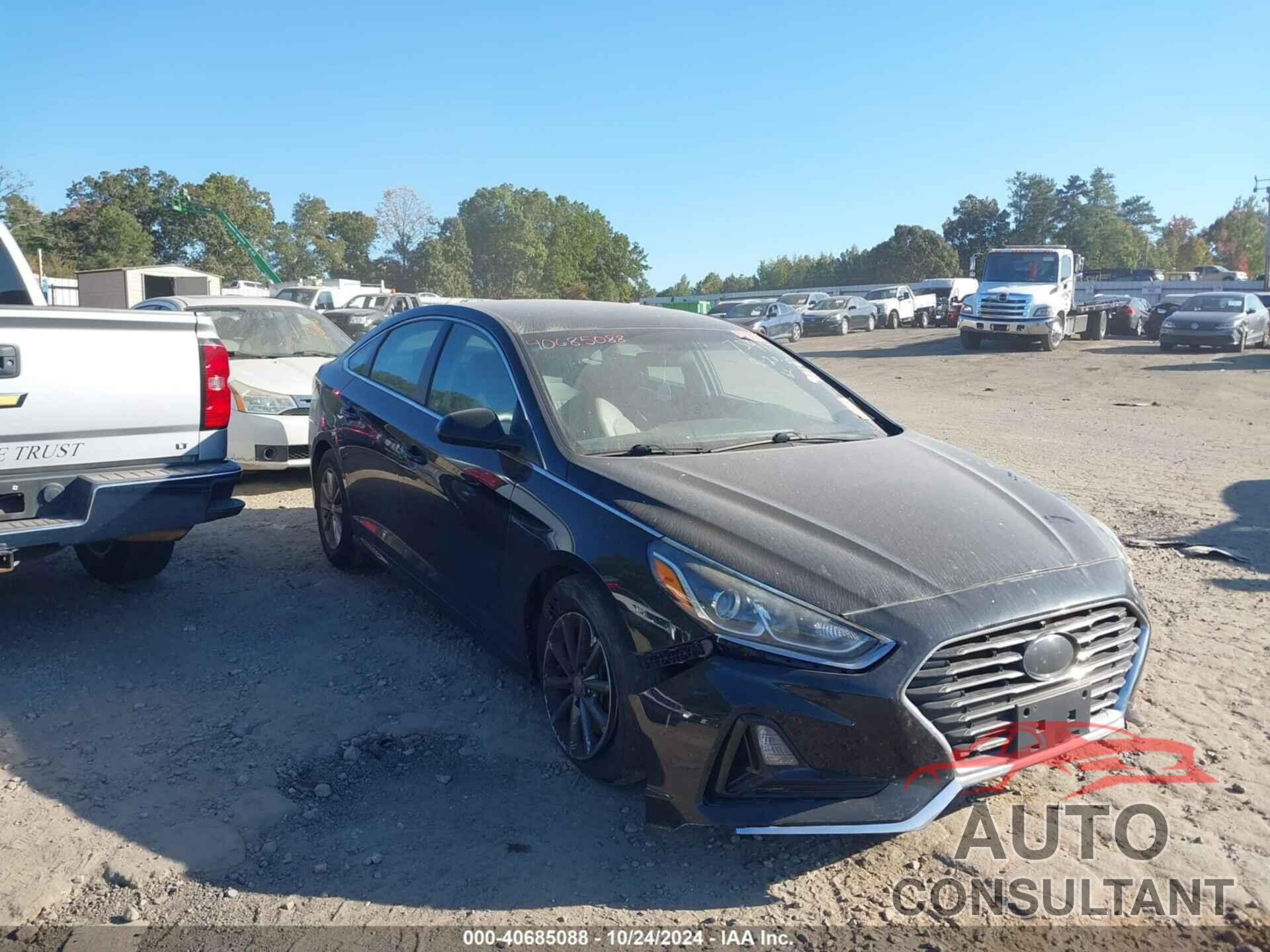 HYUNDAI SONATA 2019 - 5NPE24AF6KH737591