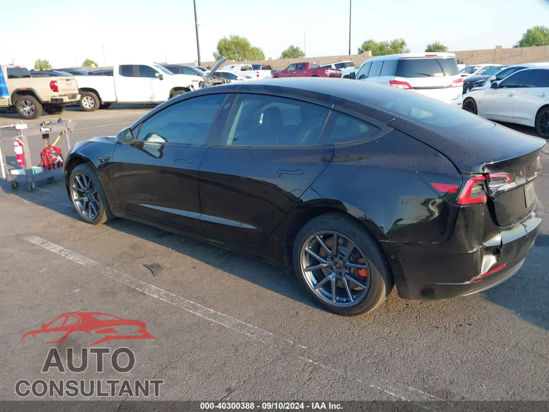 TESLA MODEL 3 2019 - 5YJ3E1EA1KF196895