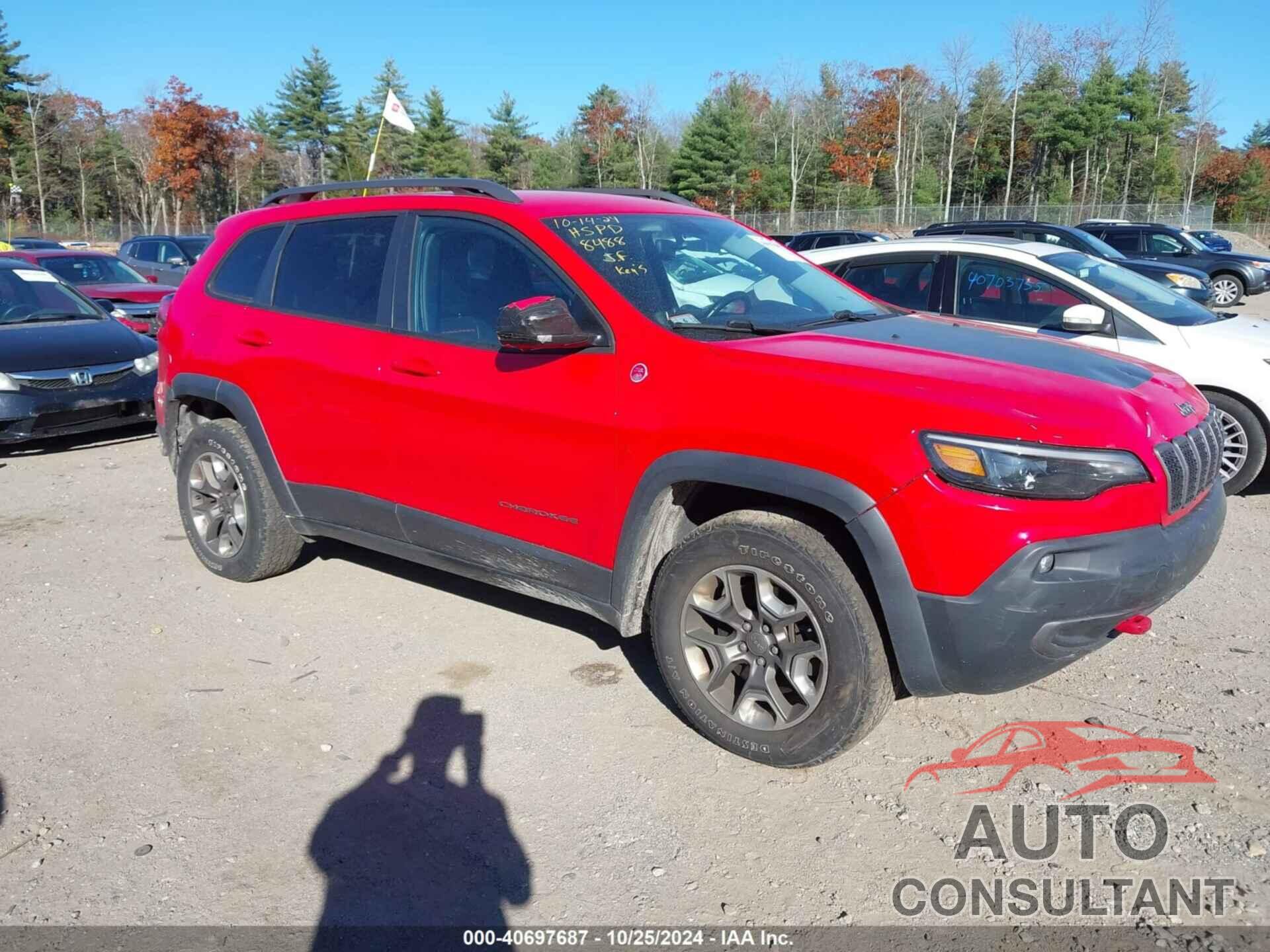 JEEP CHEROKEE 2019 - 1C4PJMBX7KD298488