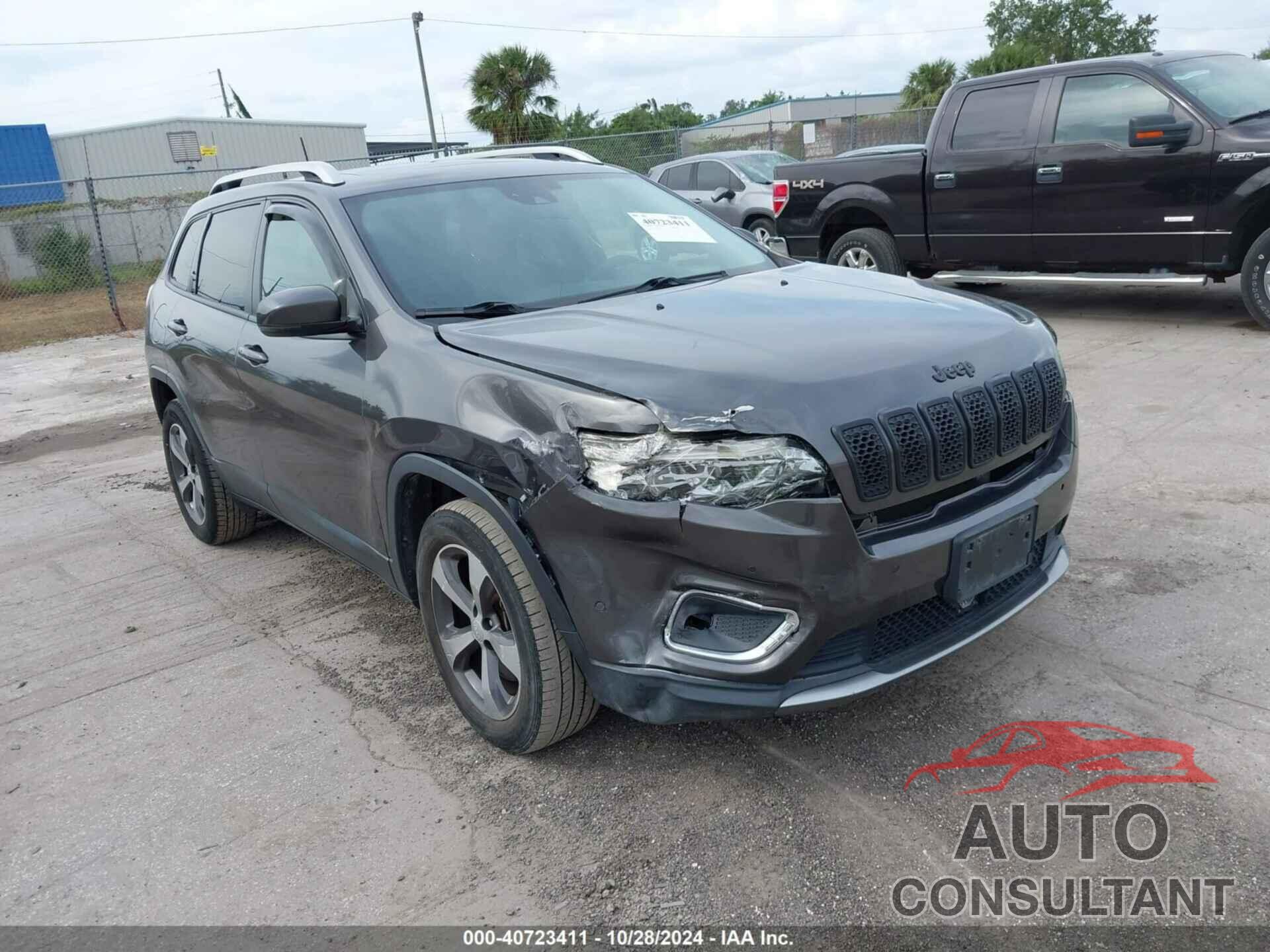 JEEP CHEROKEE 2019 - 1C4PJMDX7KD281574