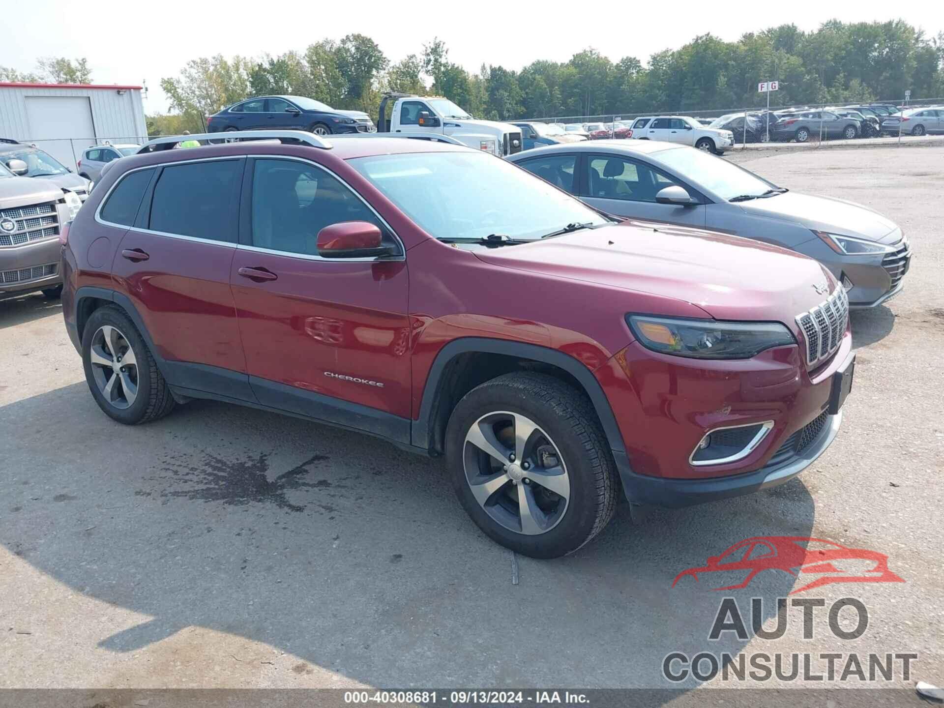 JEEP CHEROKEE 2019 - 1C4PJMDX9KD437971