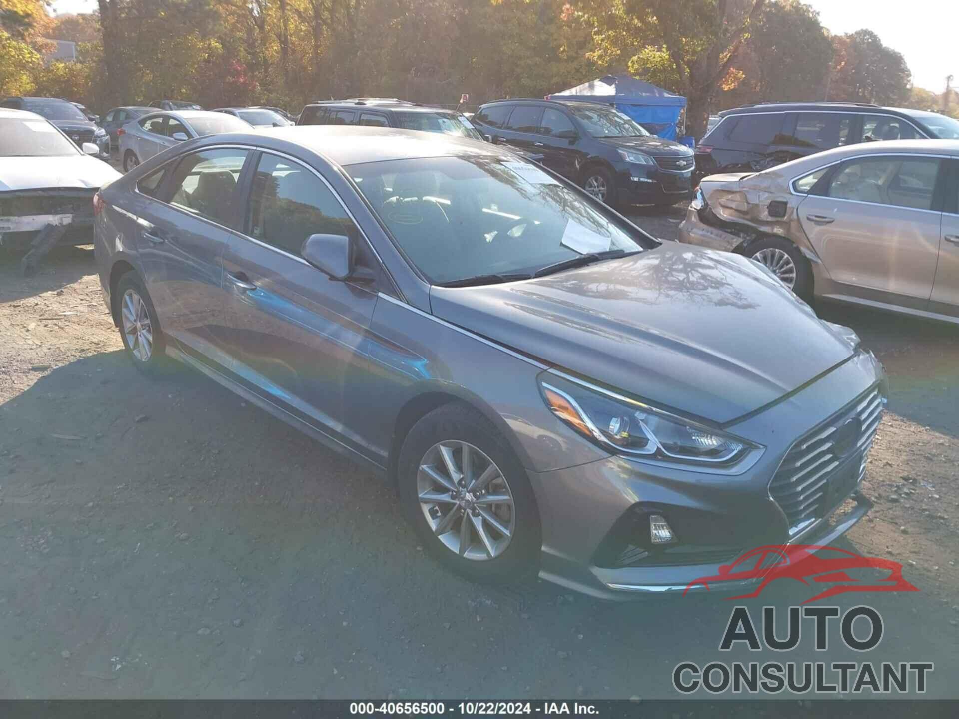 HYUNDAI SONATA 2019 - 5NPE24AF8KH739018