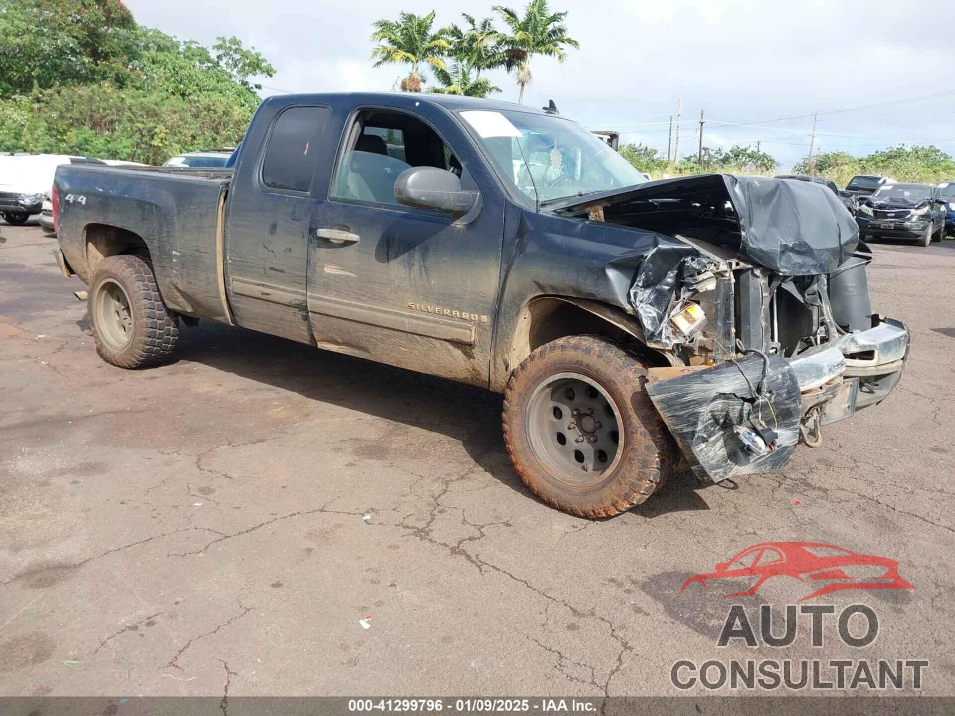 CHEVROLET SILVERADO 1500 2009 - 1GCEK290X9Z278329