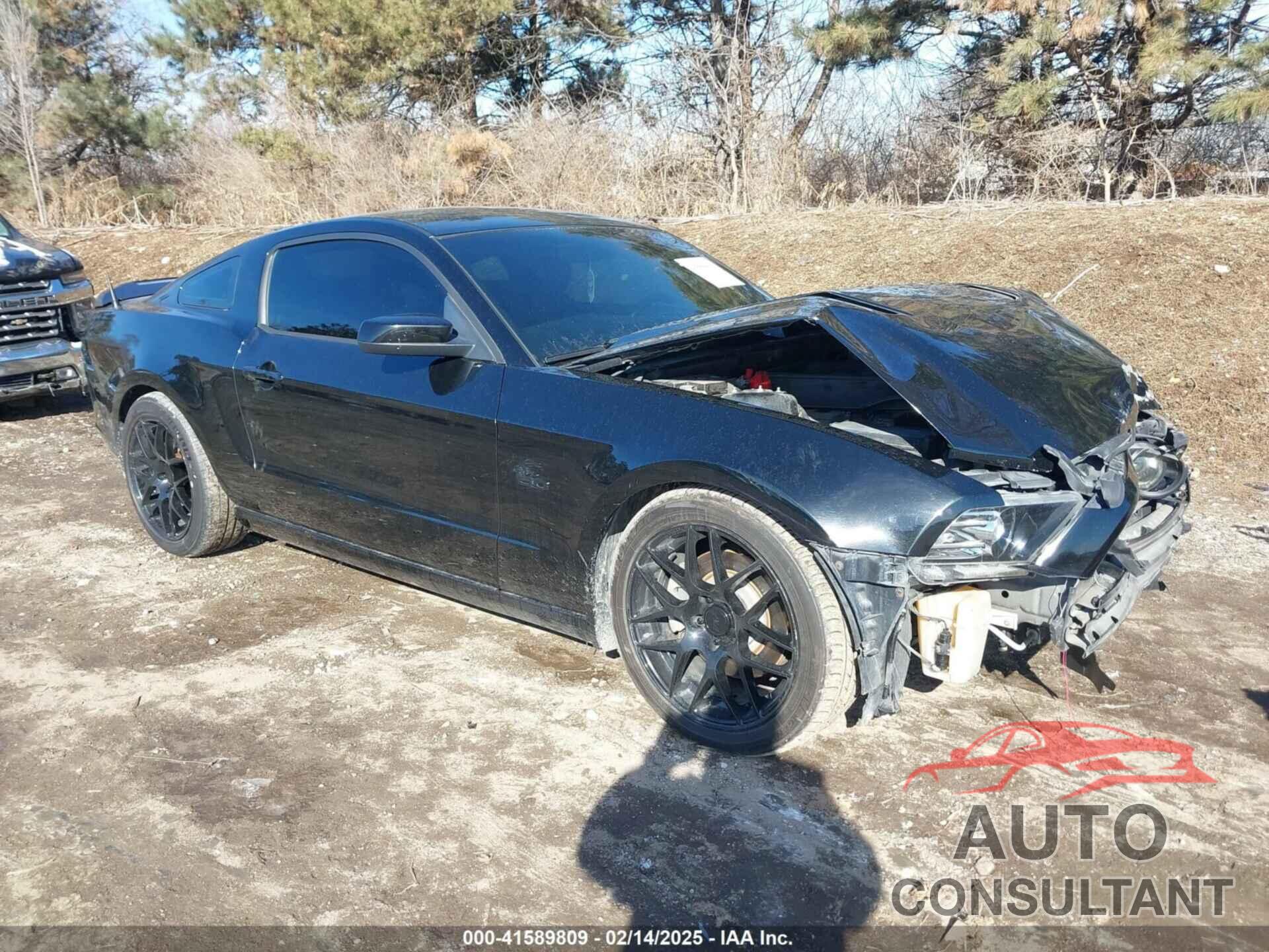 FORD MUSTANG 2014 - 1ZVBP8CF5E5322319