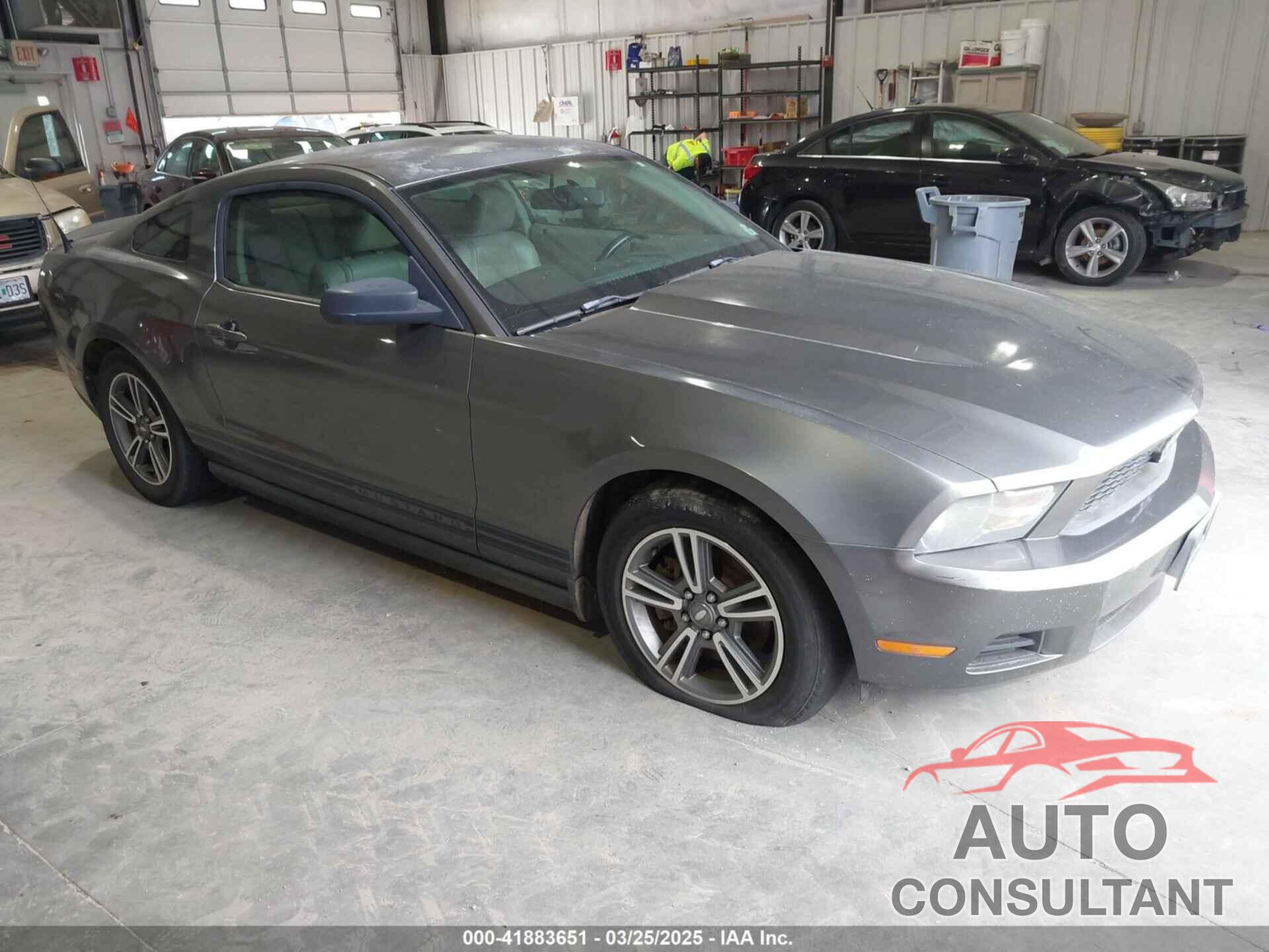 FORD MUSTANG 2011 - 1ZVBP8AM9B5111699