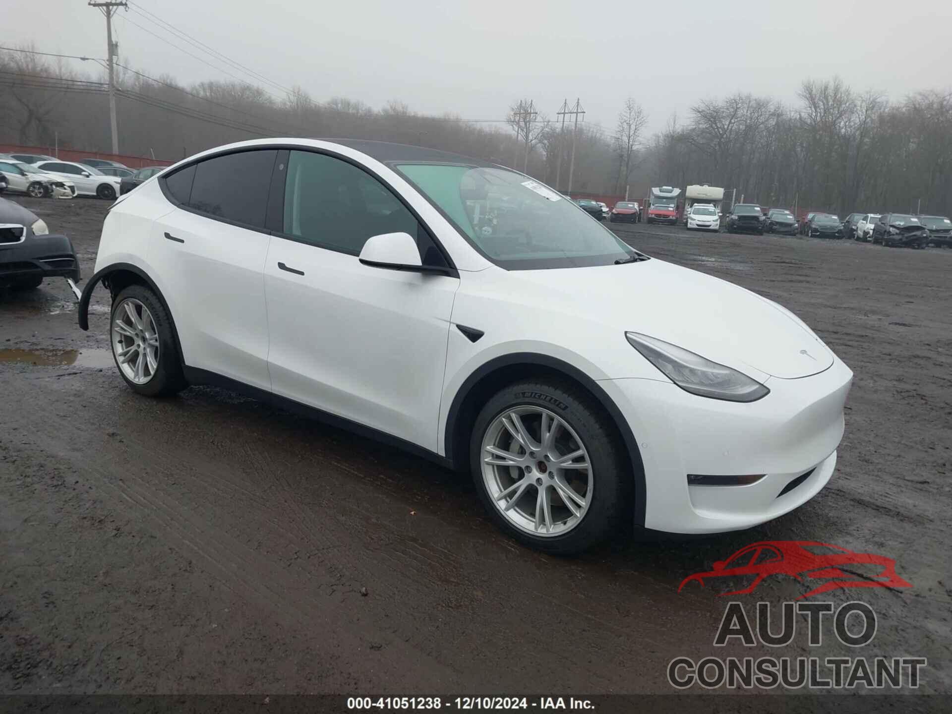 TESLA MODEL Y 2021 - 5YJYGDEE8MF300242