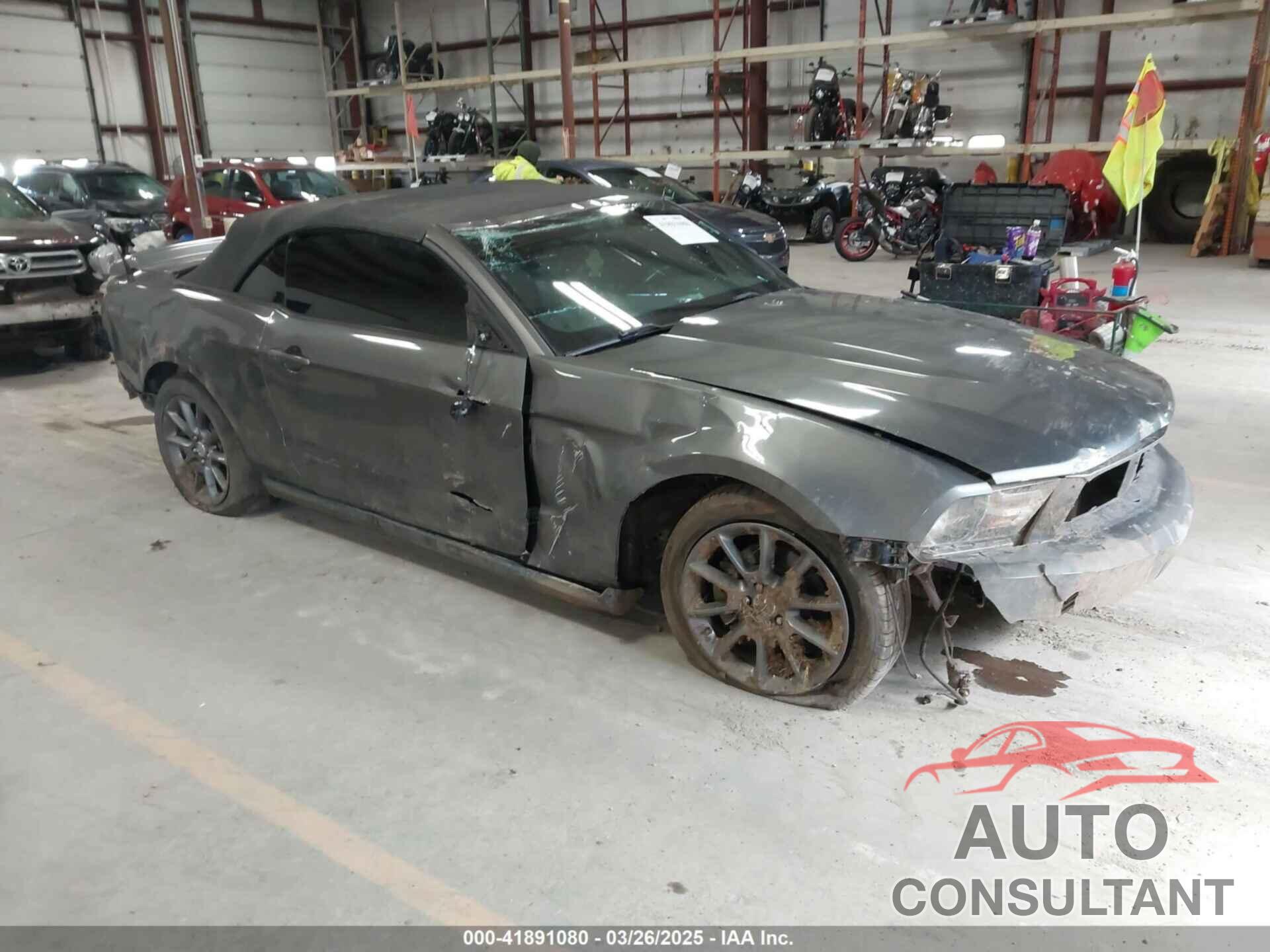 FORD MUSTANG 2011 - 1ZVBP8EM4B5153112